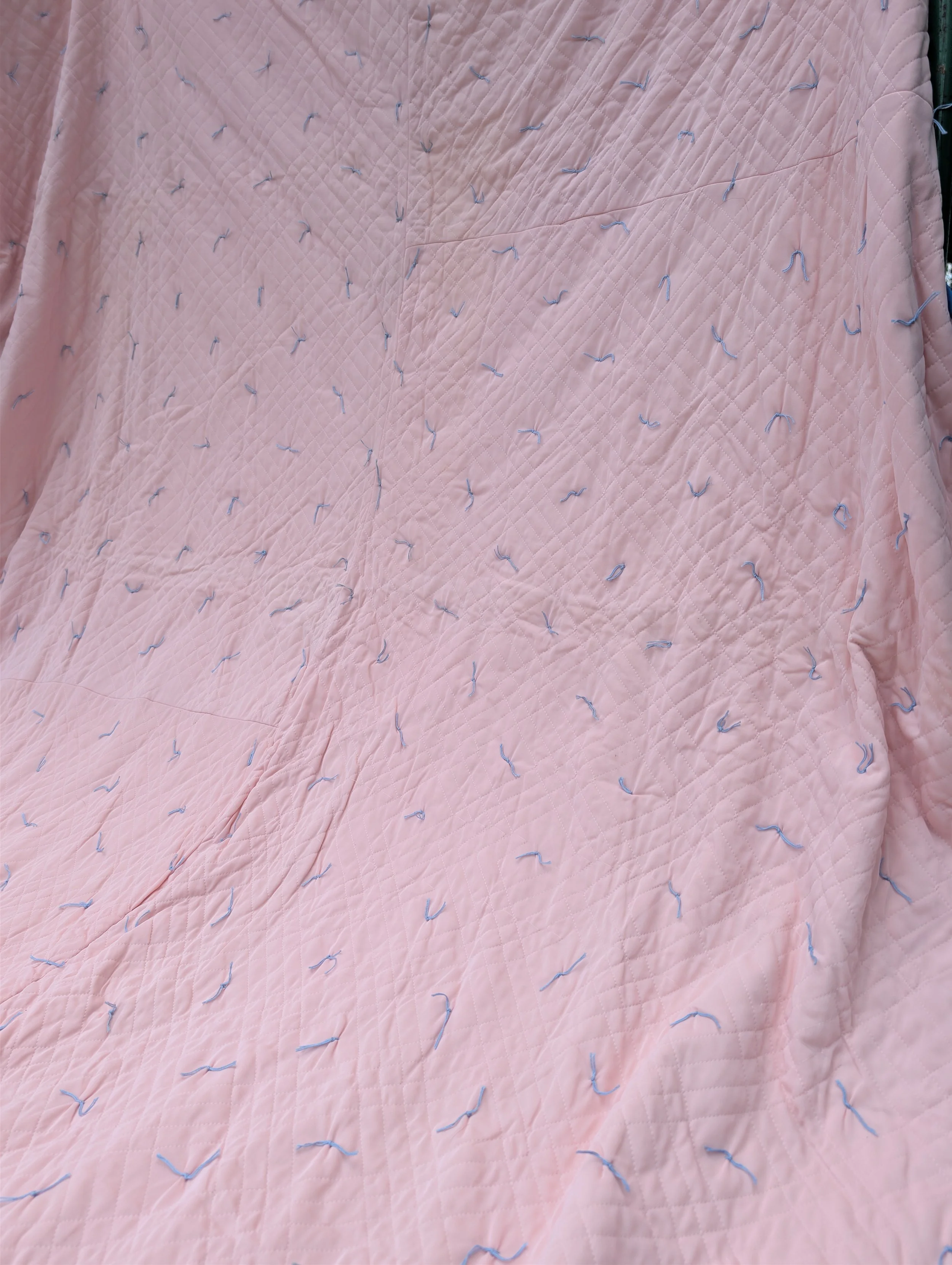 PXL_20260918_155159926.jpg