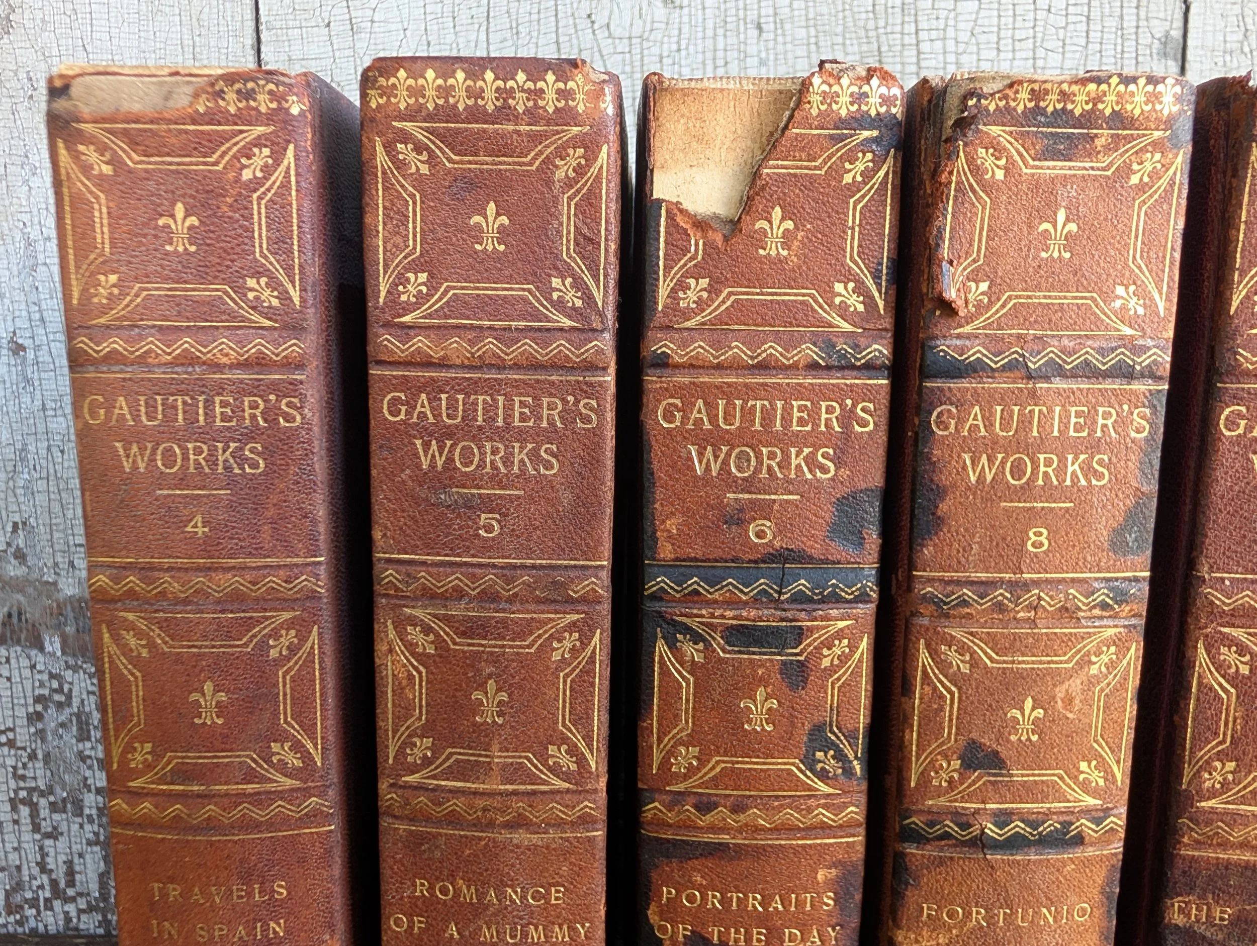 PXL_20261001_184605817.jpg