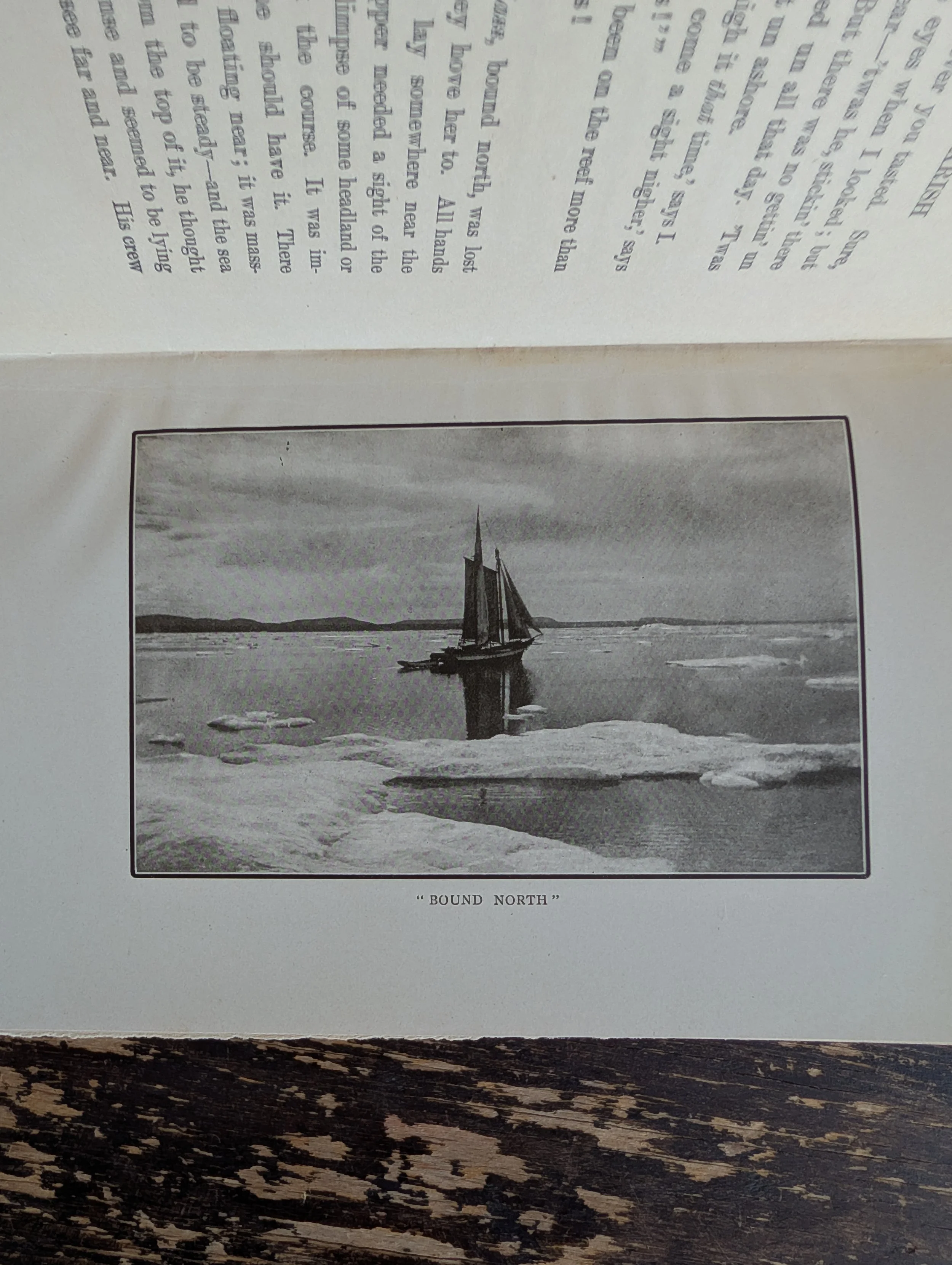 PXL_20251114_154407598.jpg