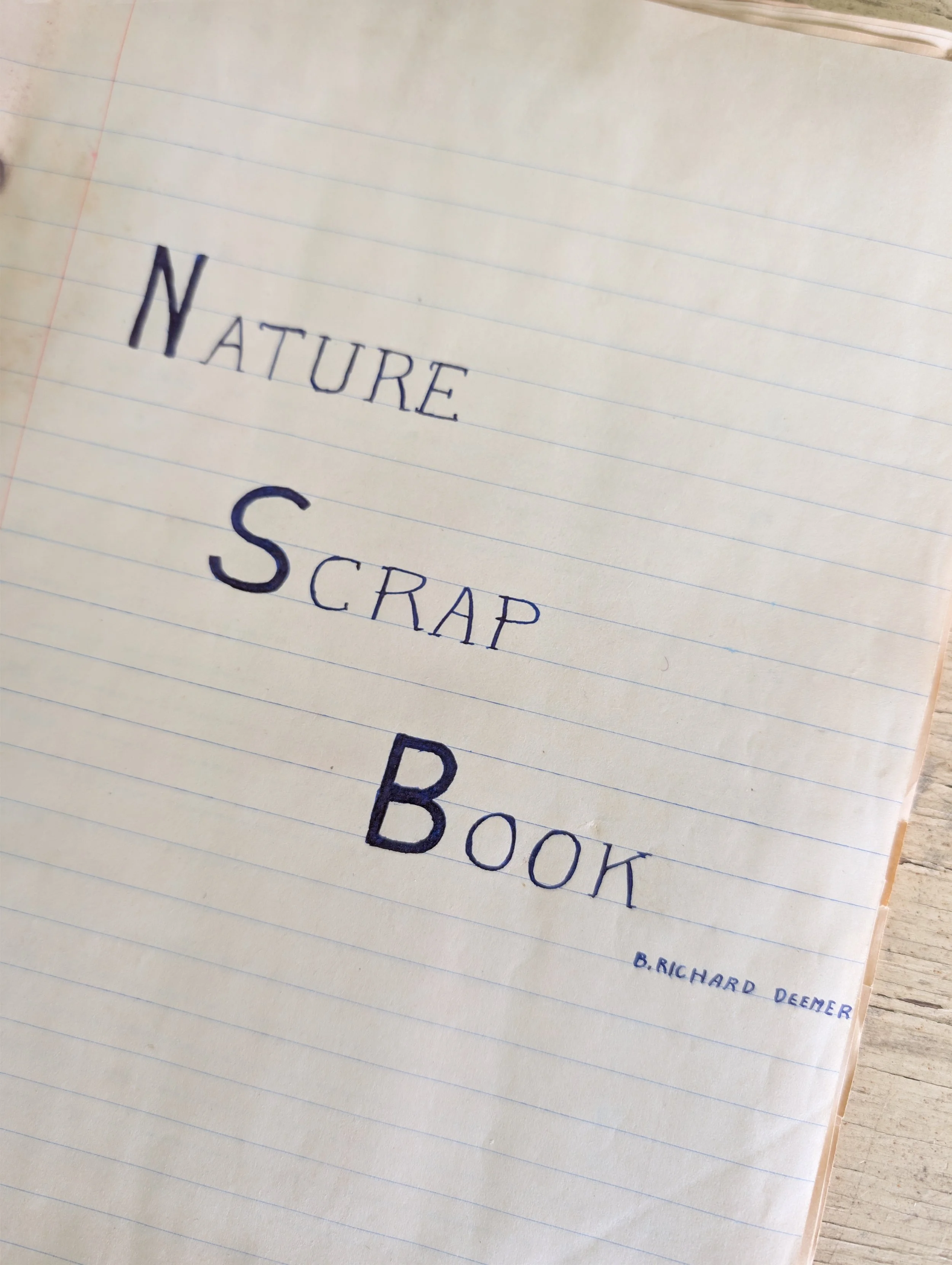 Vintage (1980s) Hand Made School Report - Nature Scrap Book by B. Richard Deemer - Grade : A.