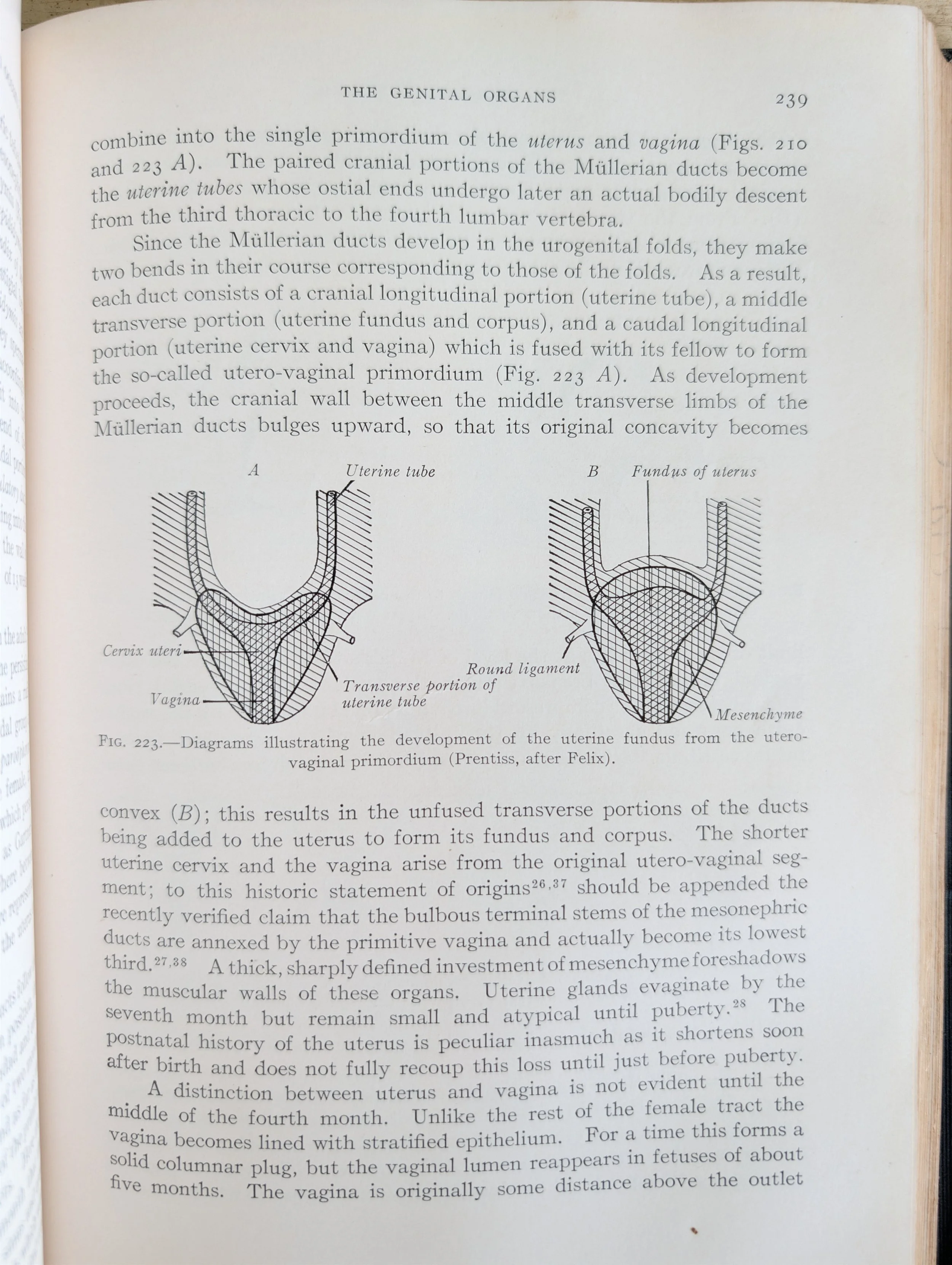 PXL_20260808_140409998.jpg