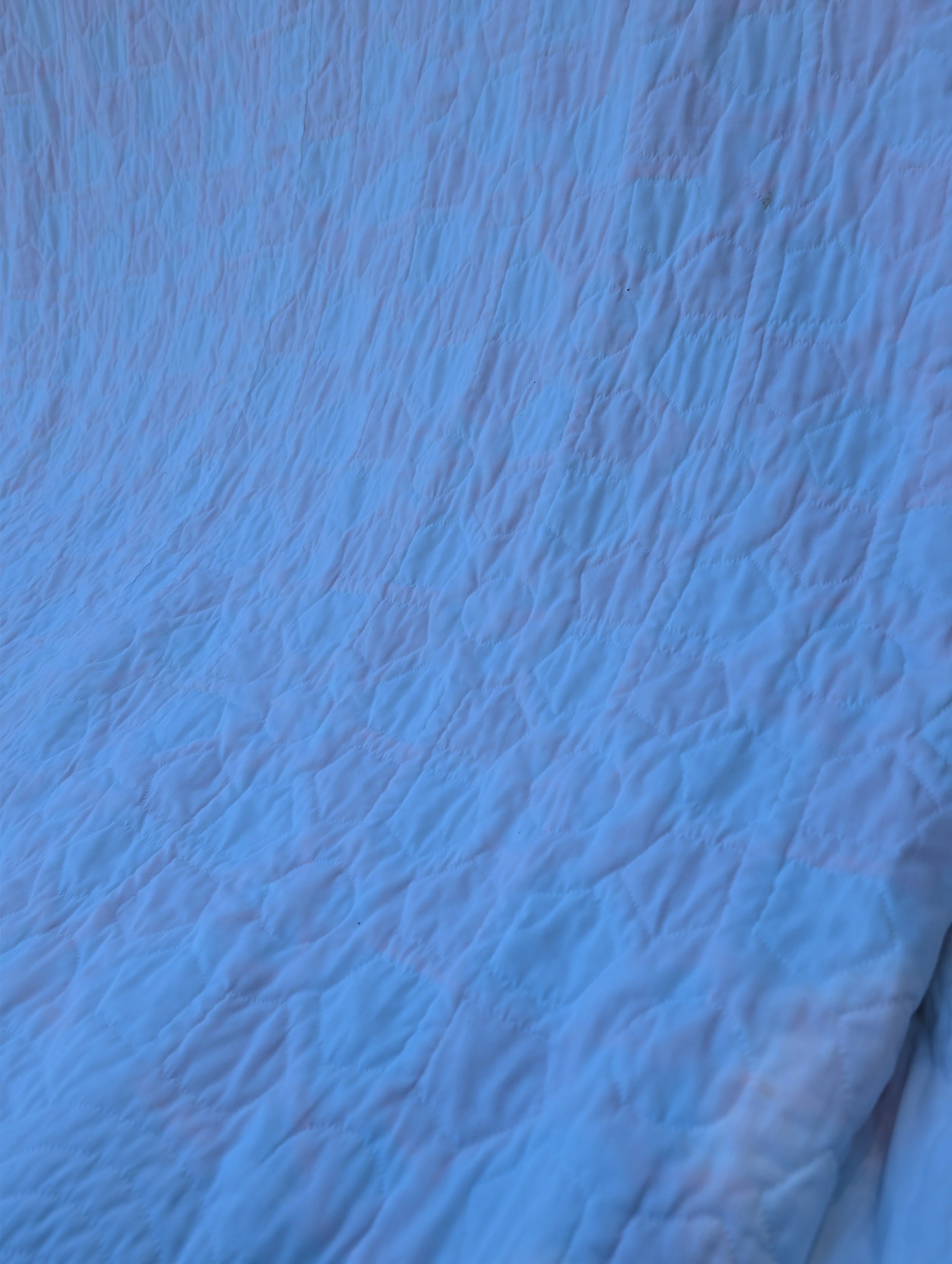 PXL_20260907_151352597.jpg