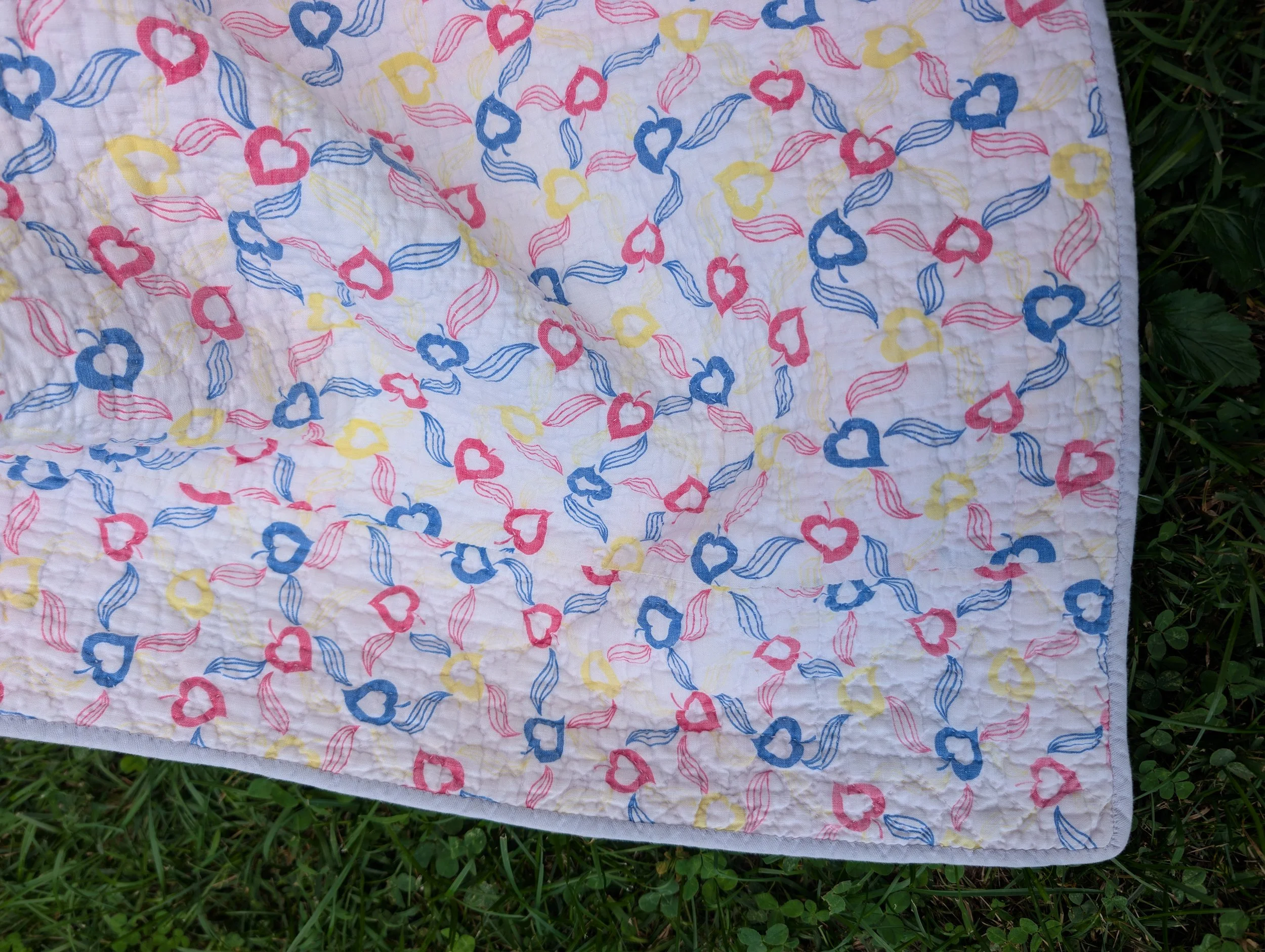 PXL_20260828_220026444.jpg