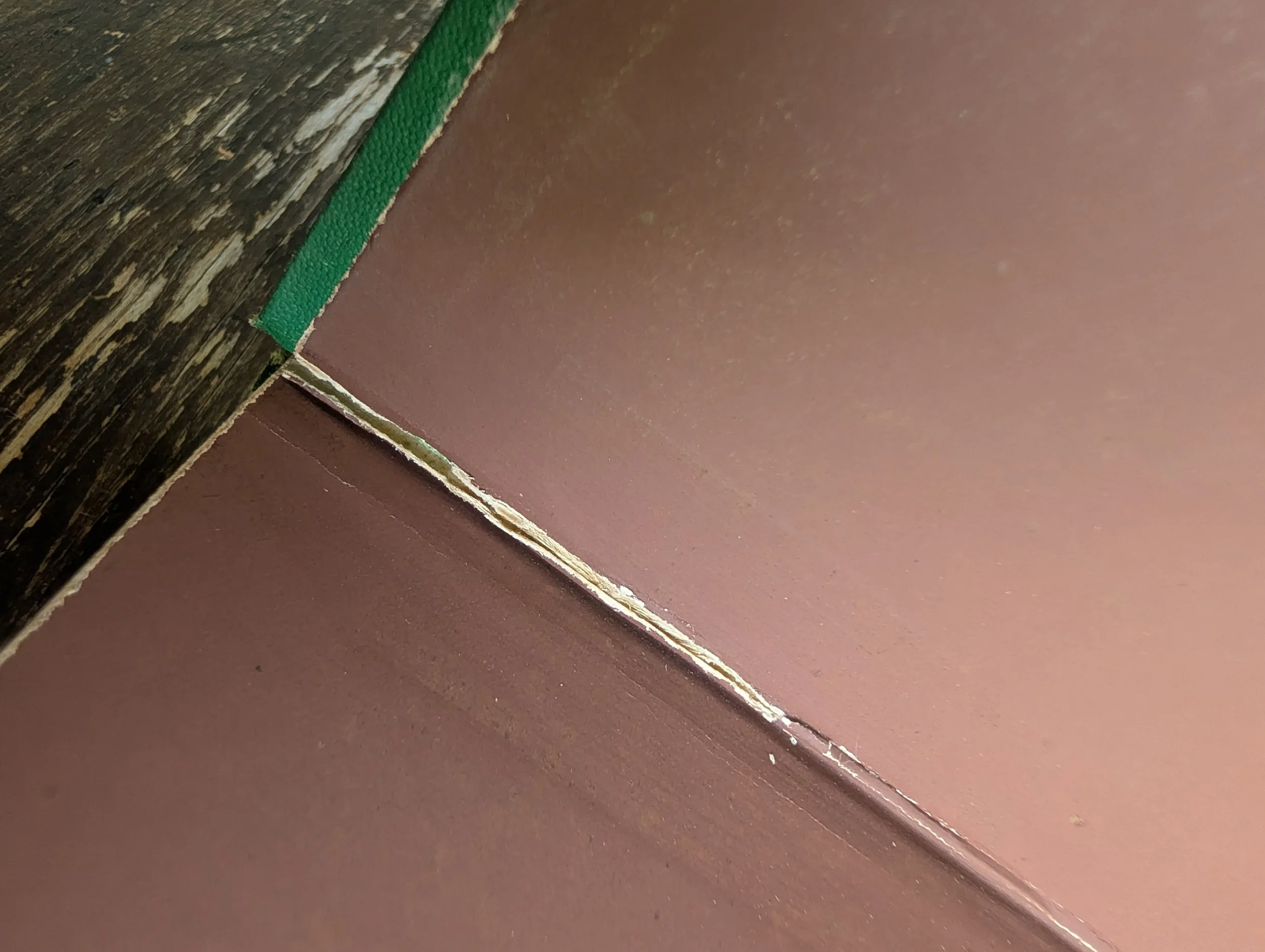 PXL_20260821_185541697.jpg