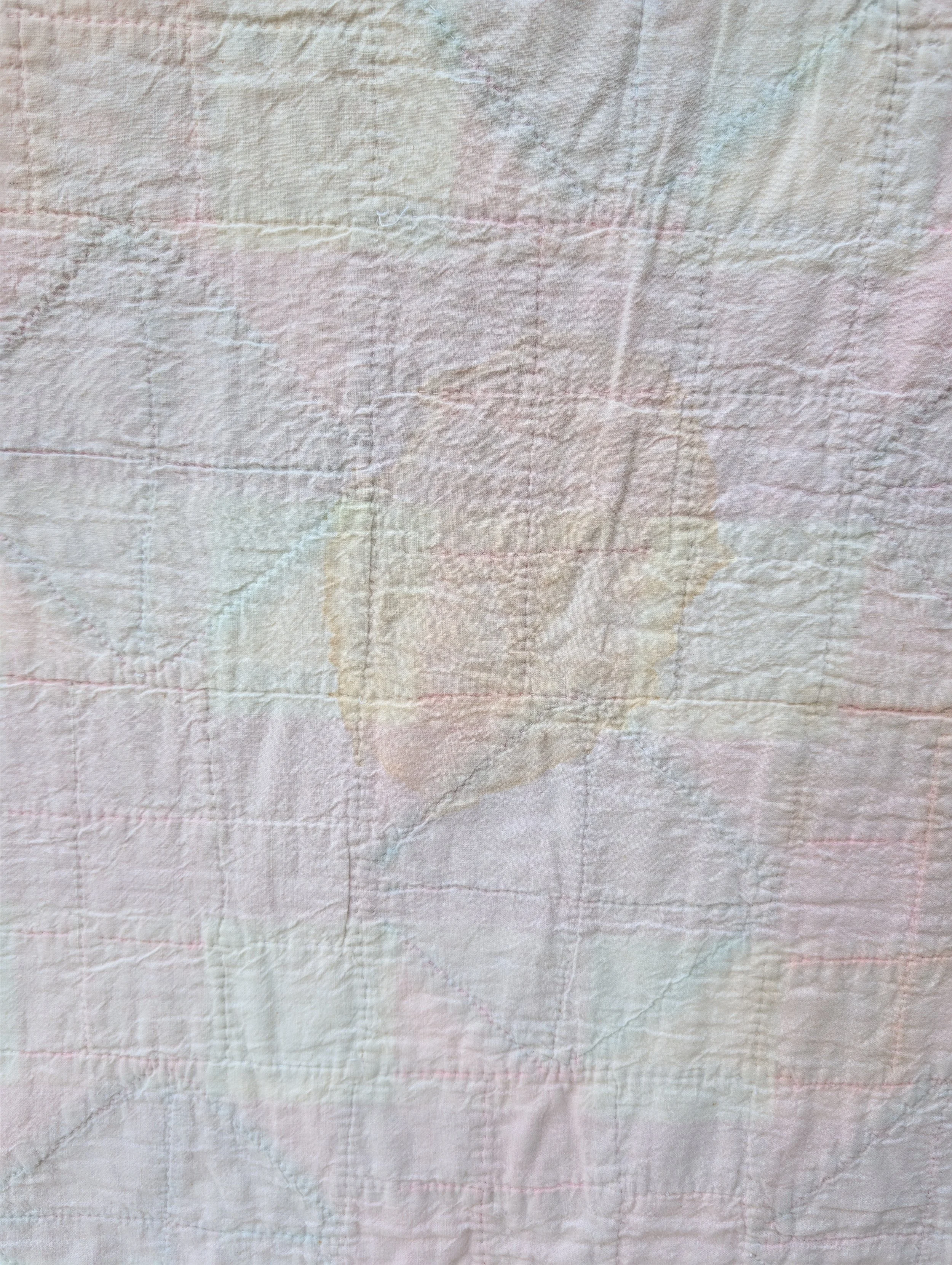 PXL_20261029_170543226.jpg