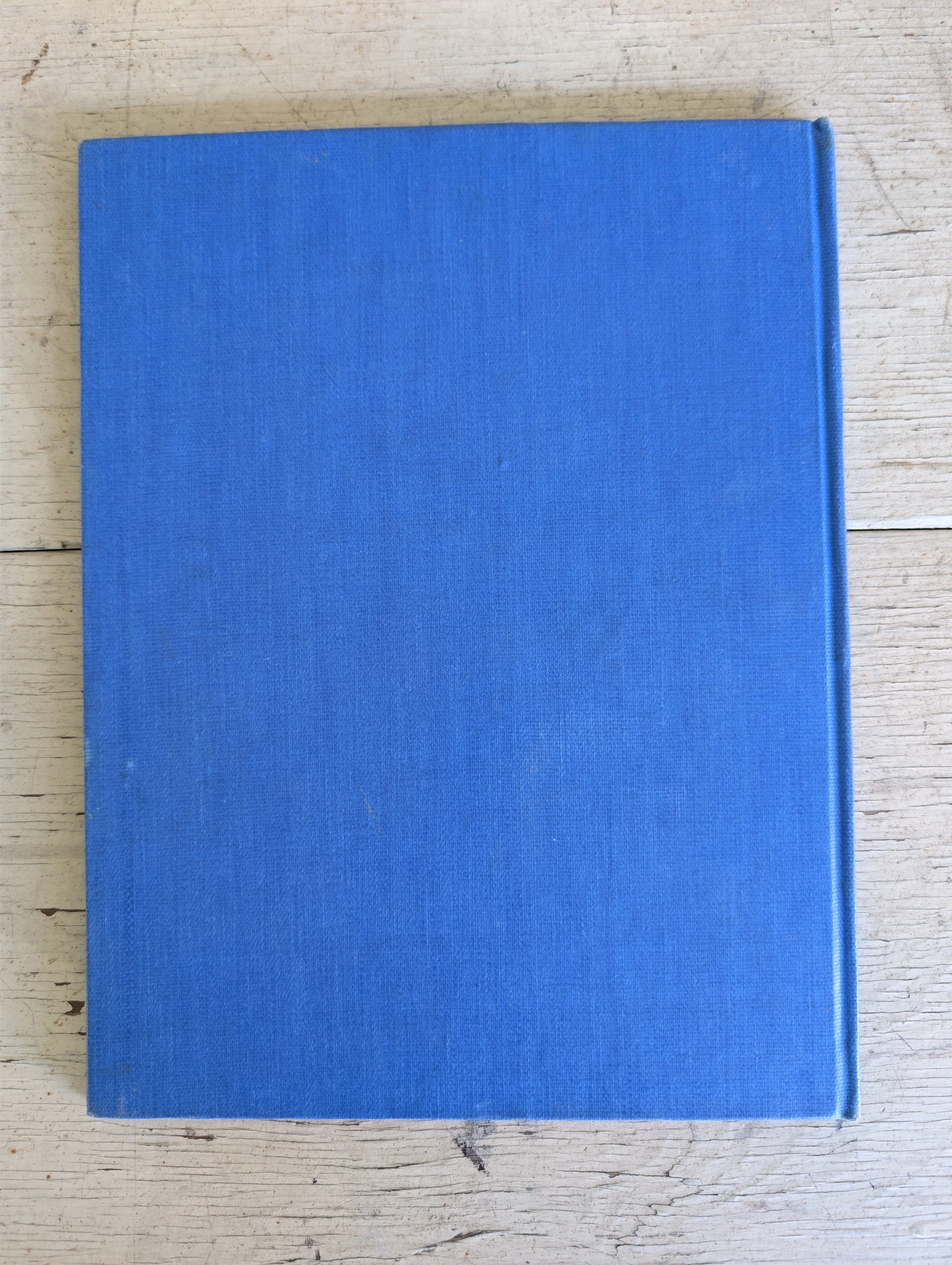 PXL_20260624_201945943.jpg