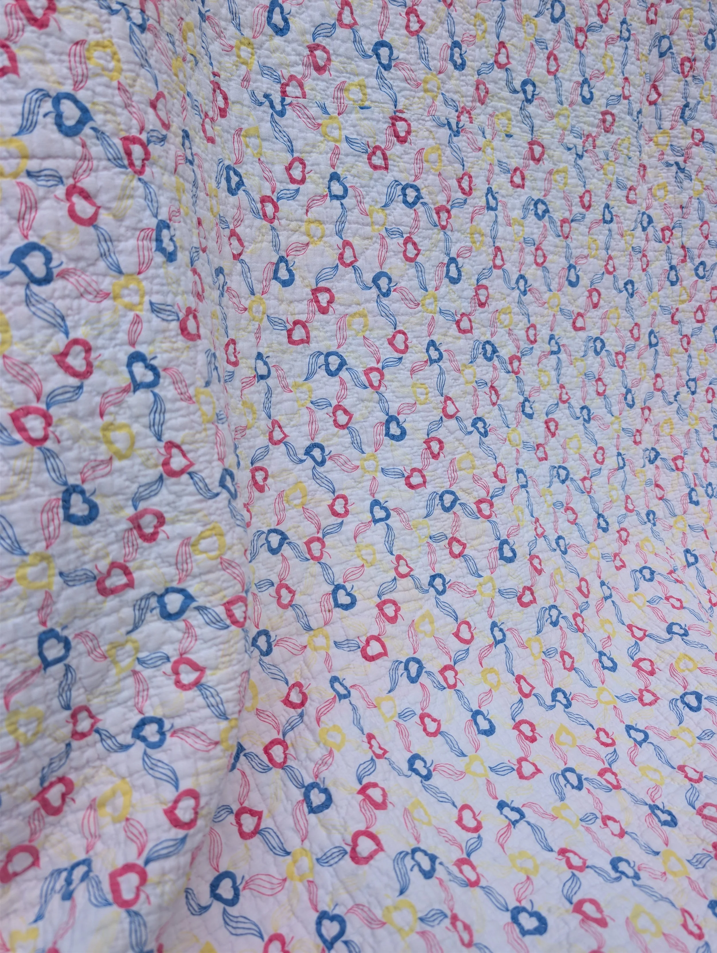 PXL_20260828_220029474.jpg