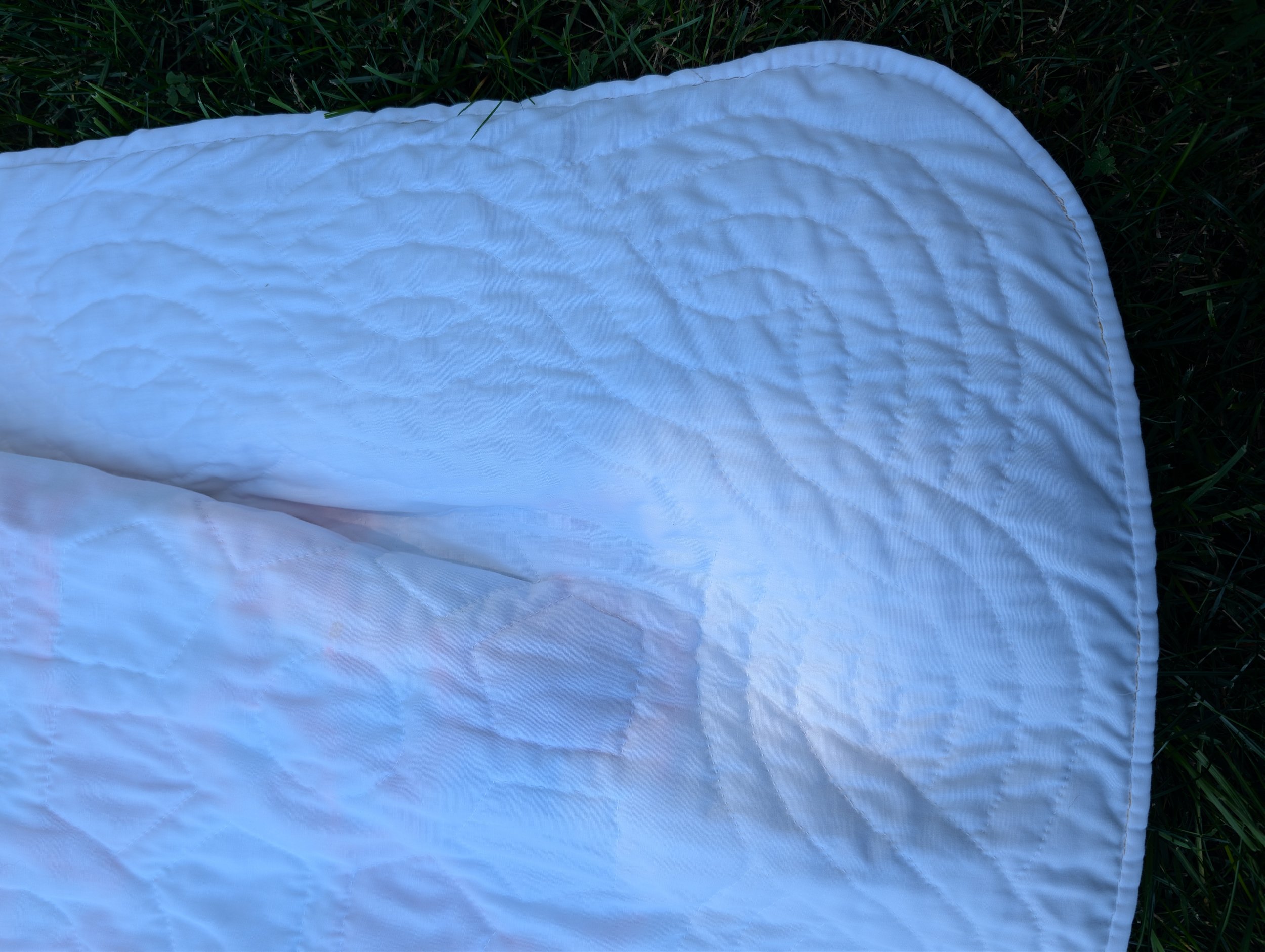 PXL_20260907_151348177.jpg