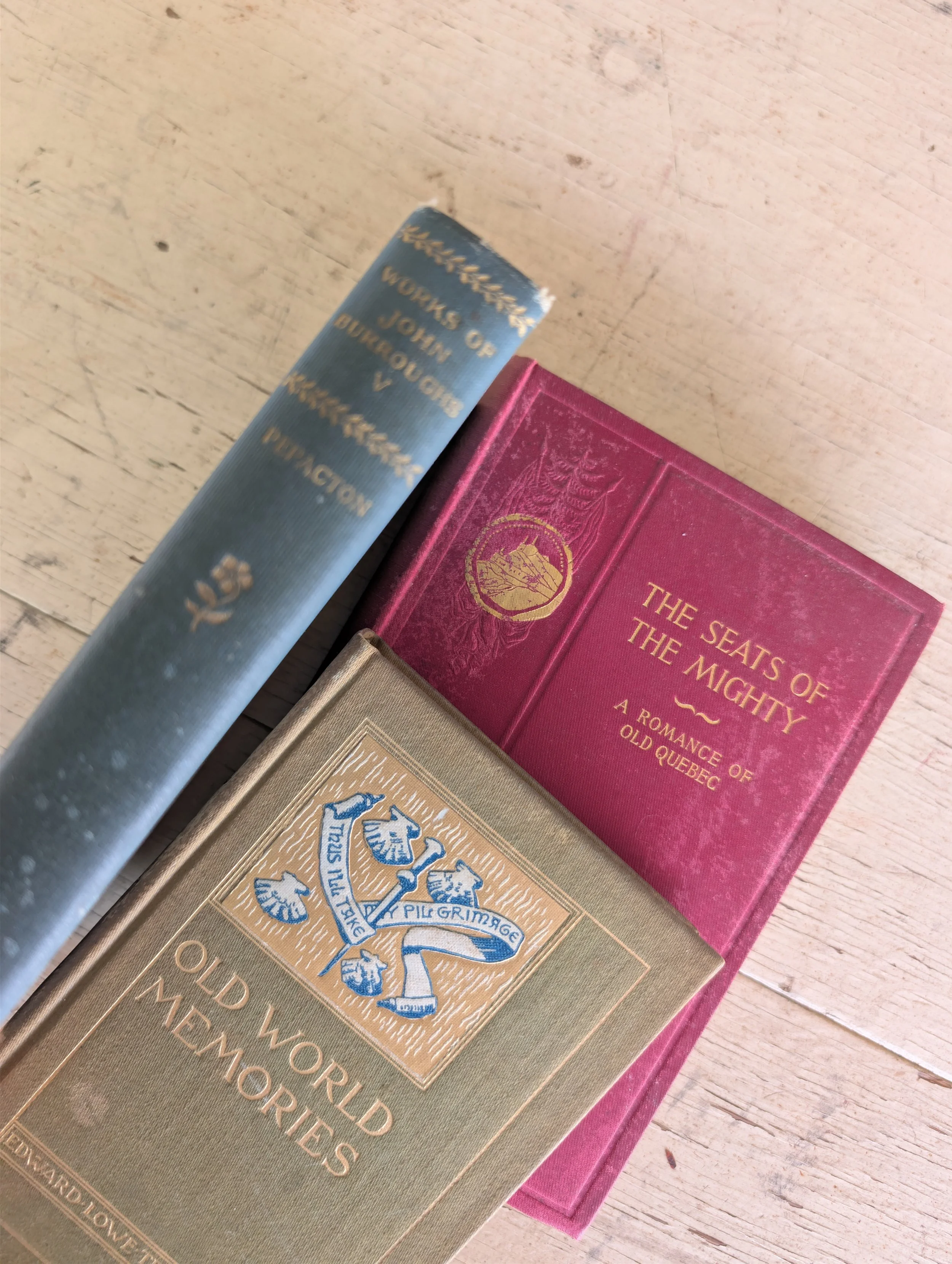 Antique (1896-1909) Charming Literature Bundle.