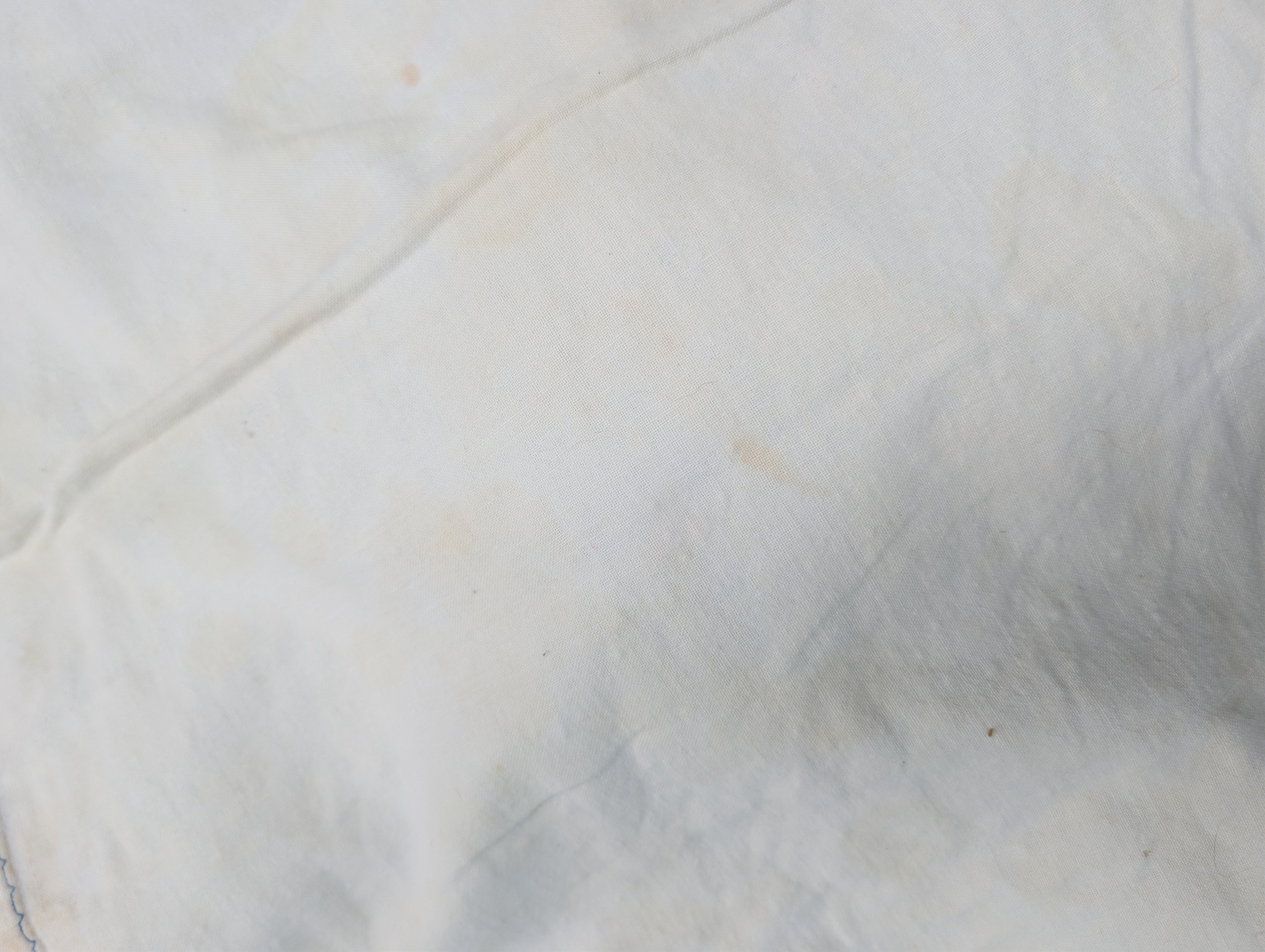 PXL_20260726_205111357.jpg