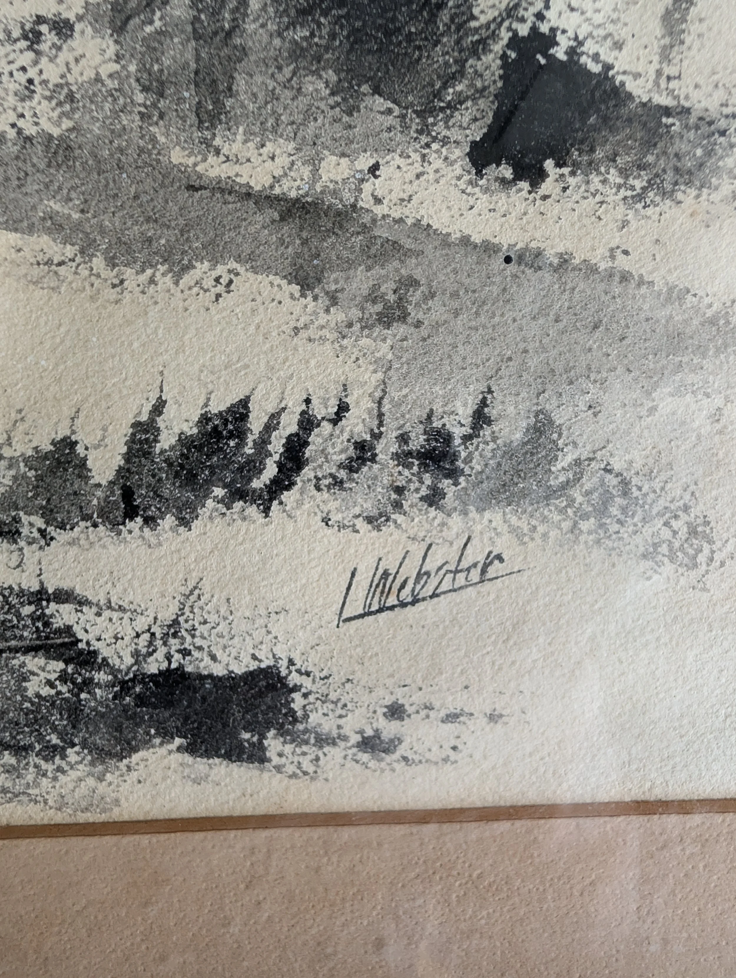 PXL_20261010_162700167.jpg