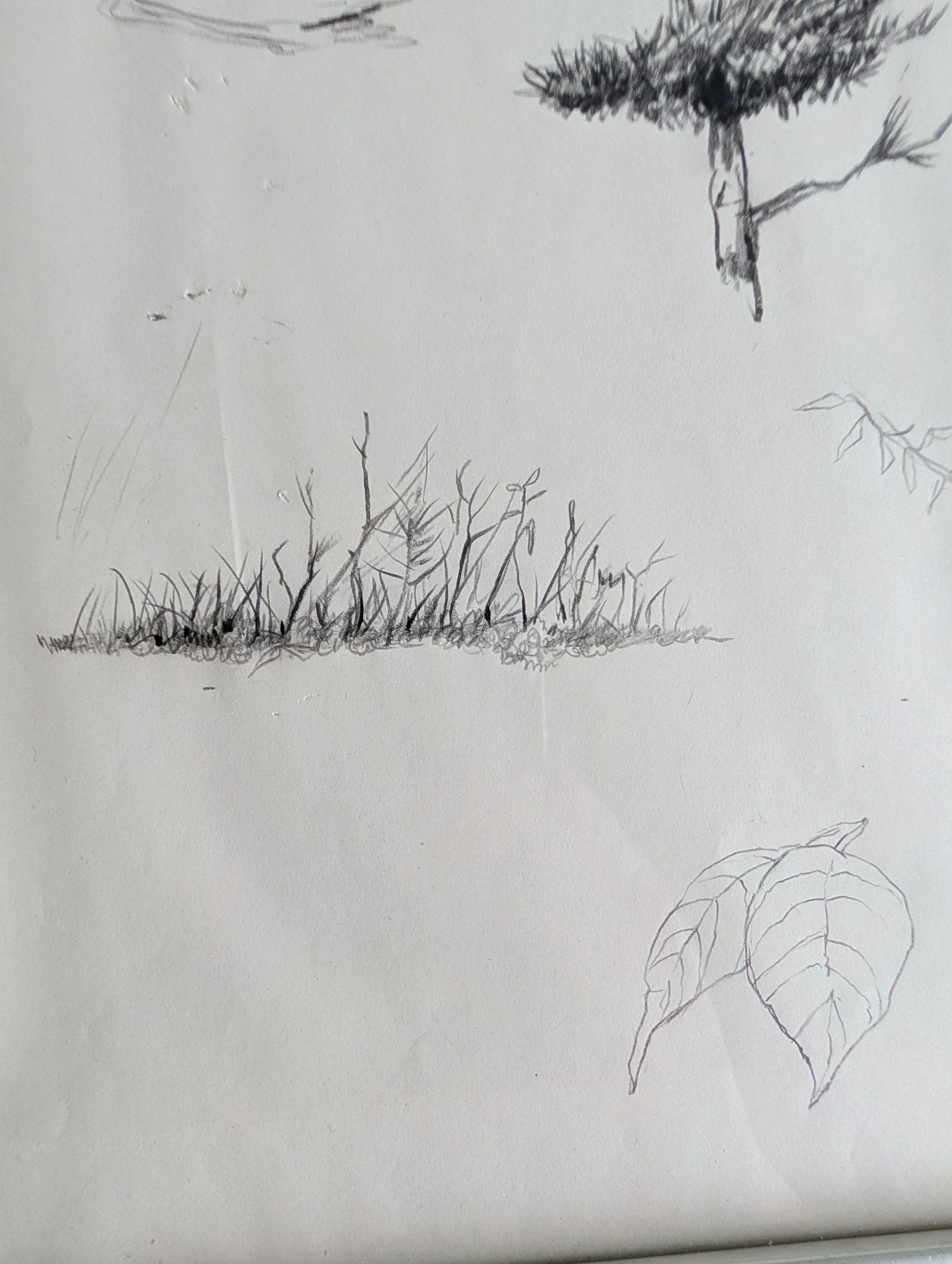 PXL_20260521_172516209.jpg