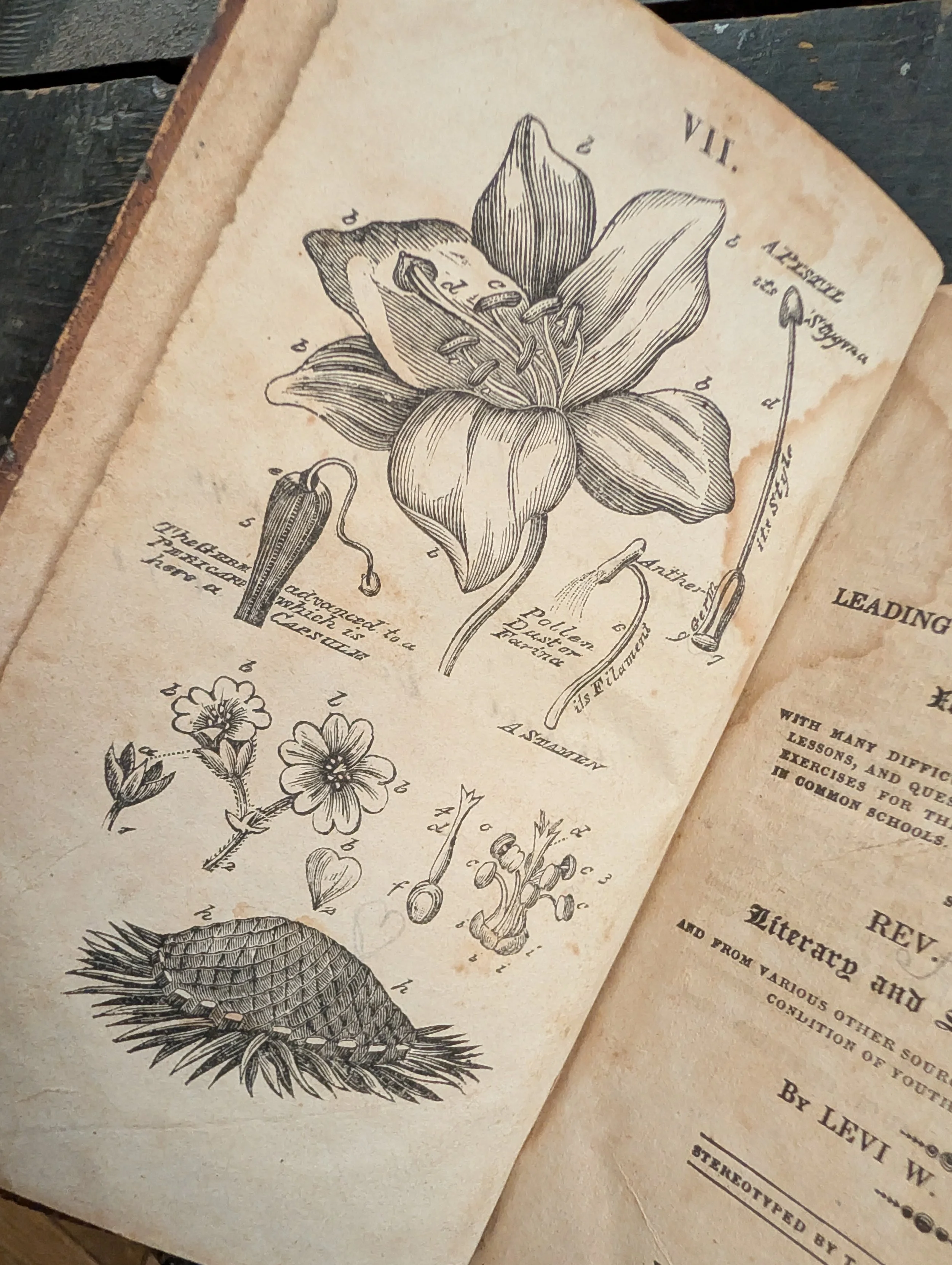 Antique (1823) The Literary And Scientific Class Book Adapted by Levi W. Leonard - Illustrated.