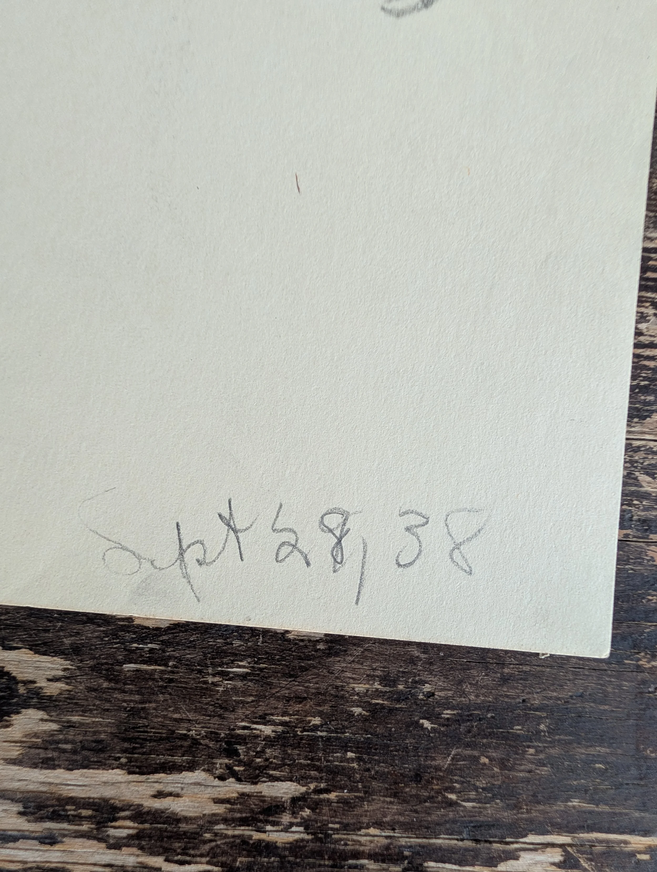PXL_20260813_151937602.jpg