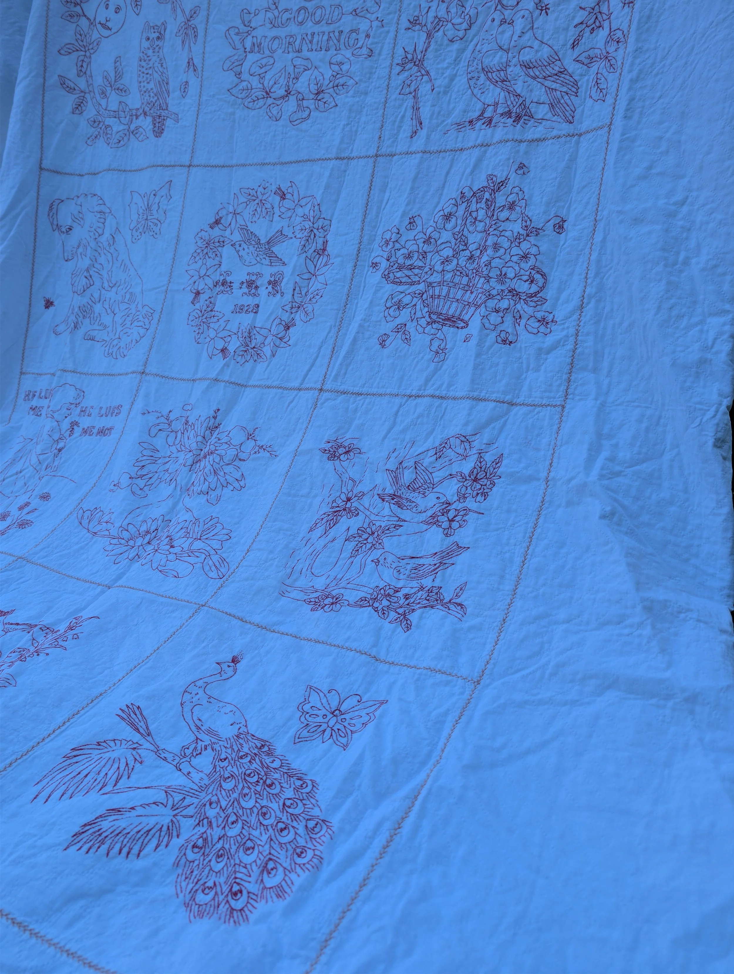 PXL_20261018_192400615.jpg