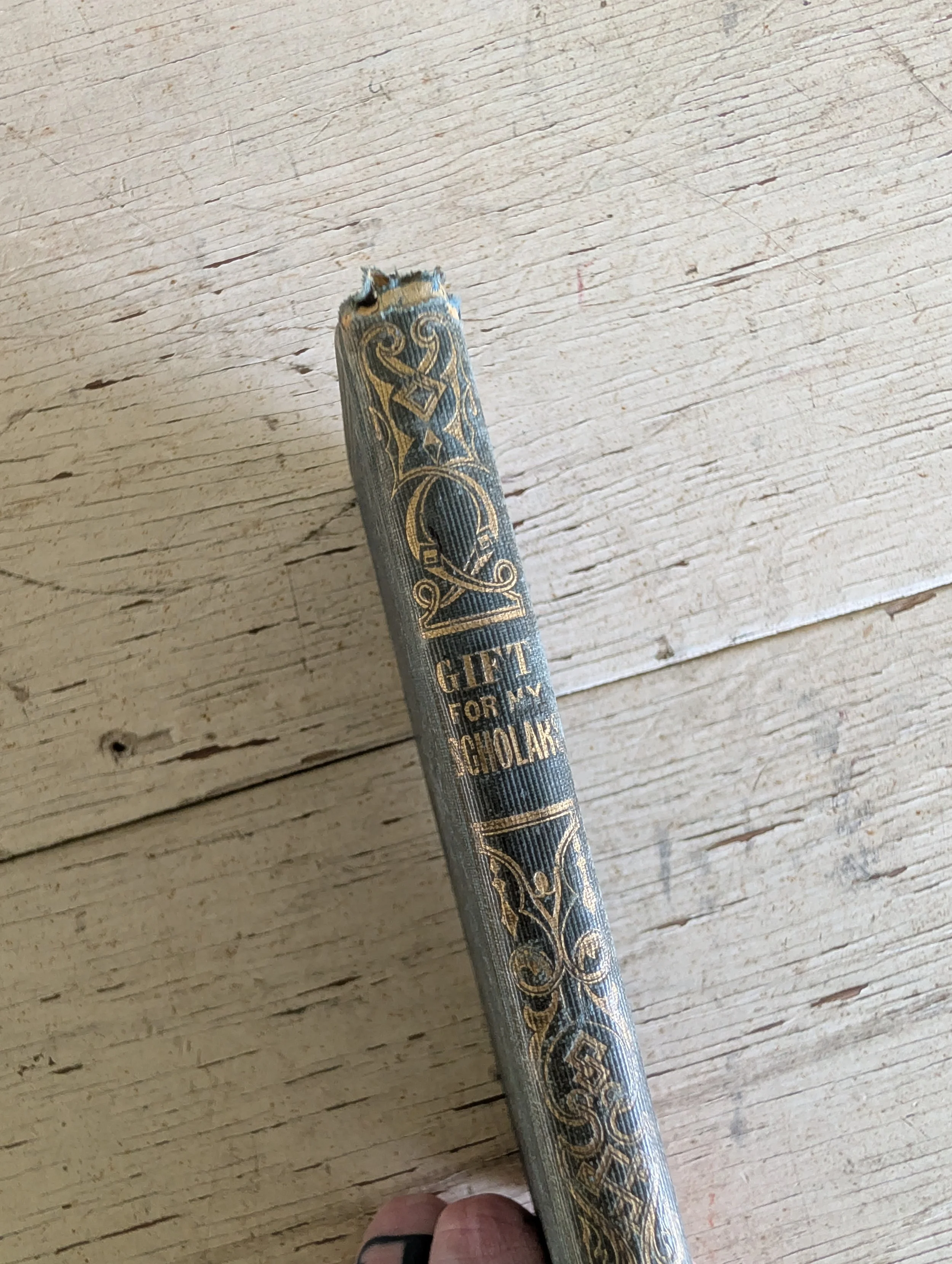 Antique (1850) A Gift For my Sunday Scholar Published by American Sunday-School Union.