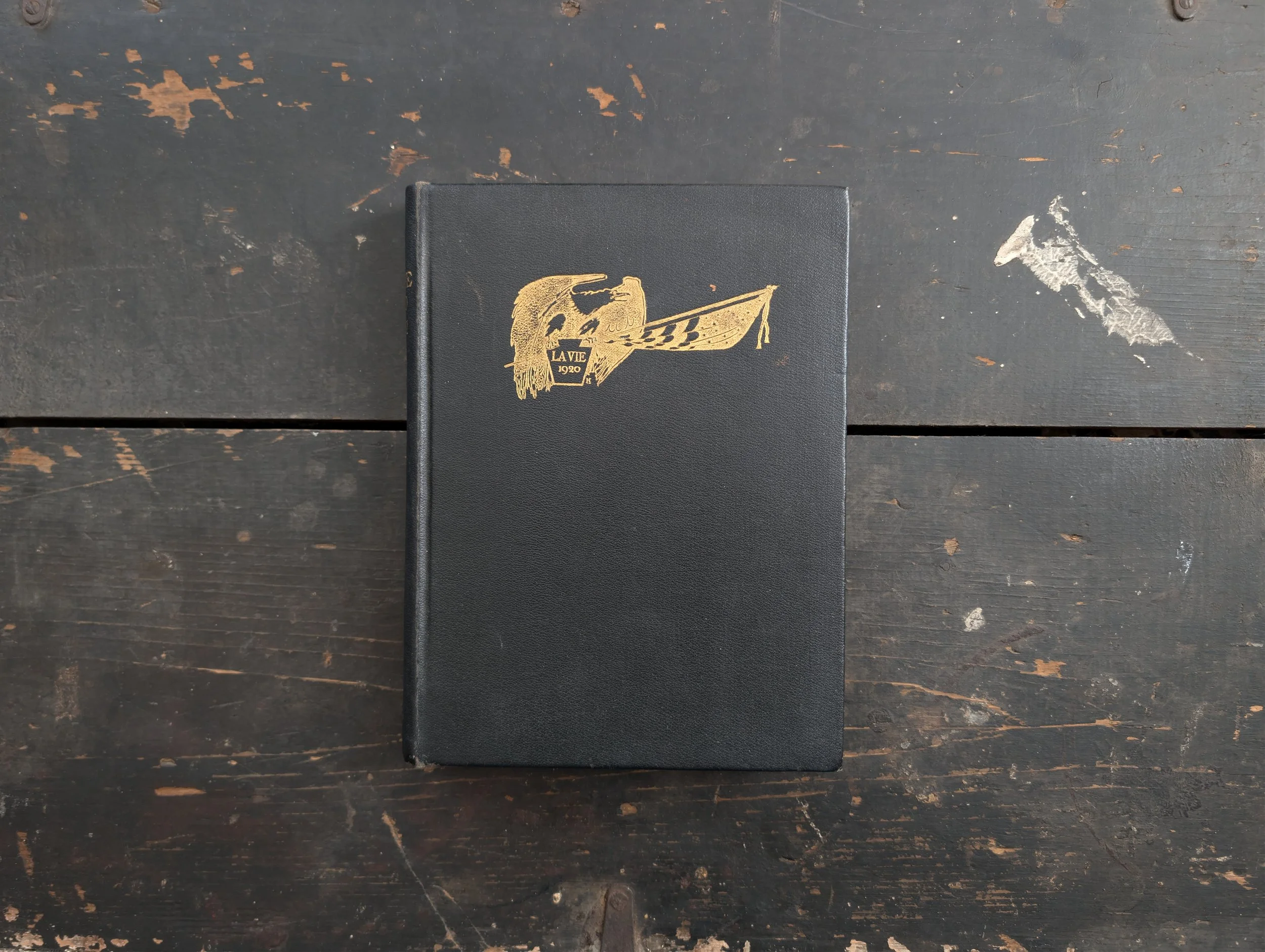 Antique (1920) La Vie - Pennsylvania State College Yearbook : Illustrated.