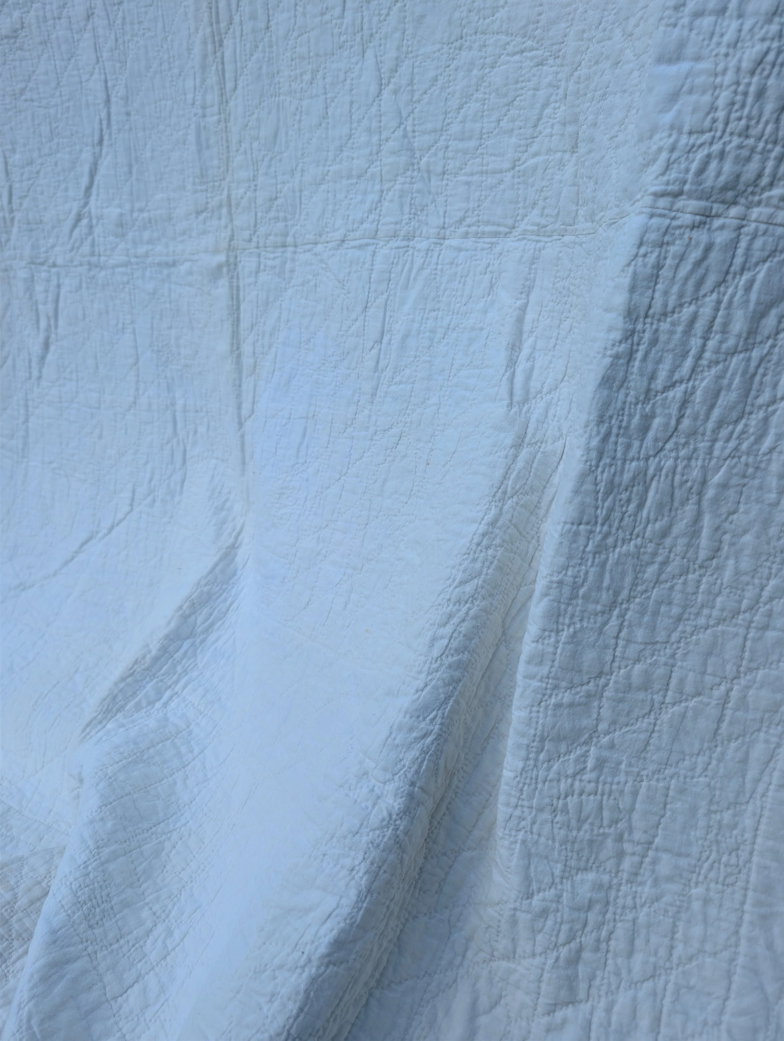 PXL_20260918_190514775.jpg
