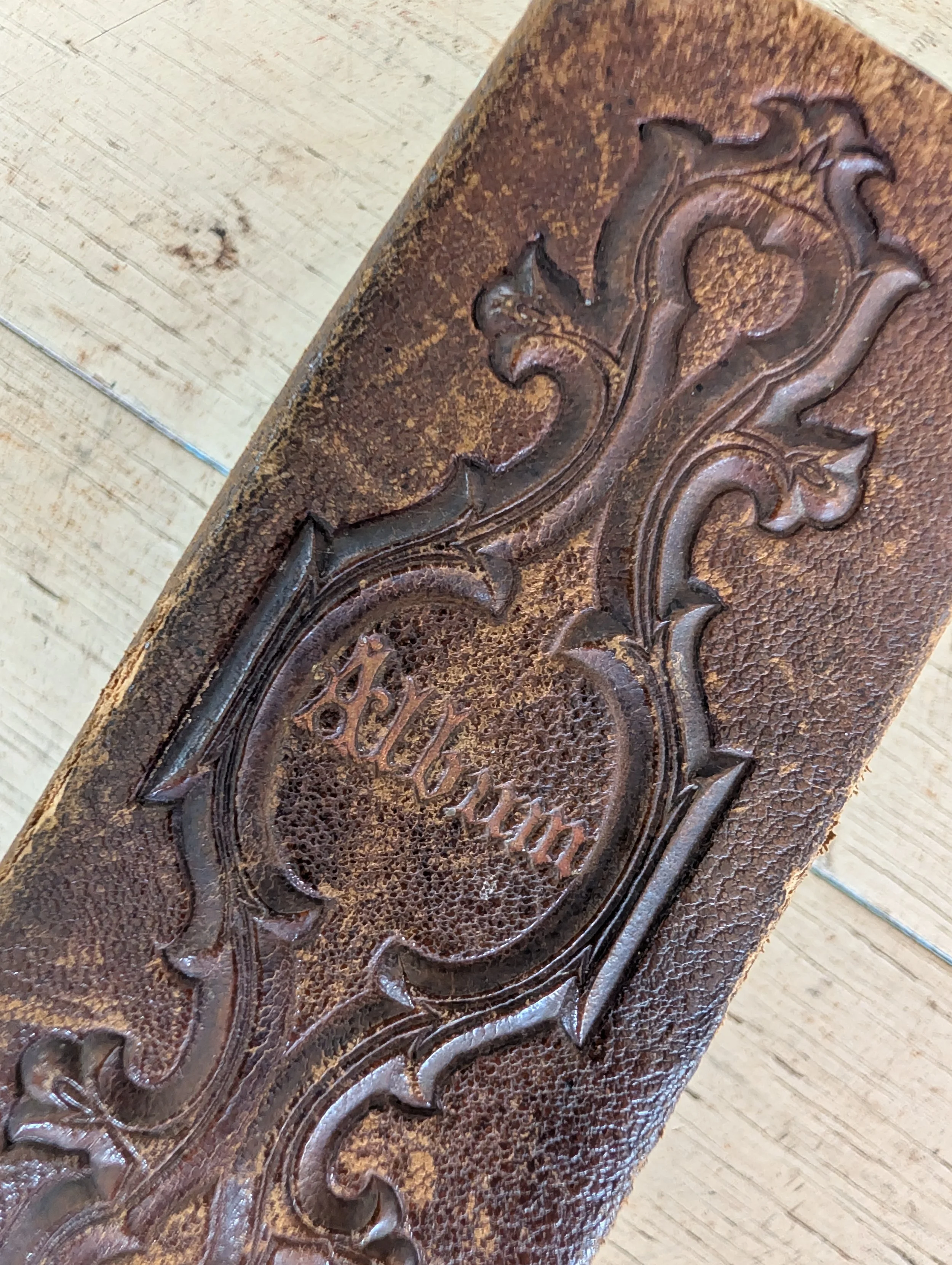 Antique (1880s) Photo Album - Tintypes + CDVs.