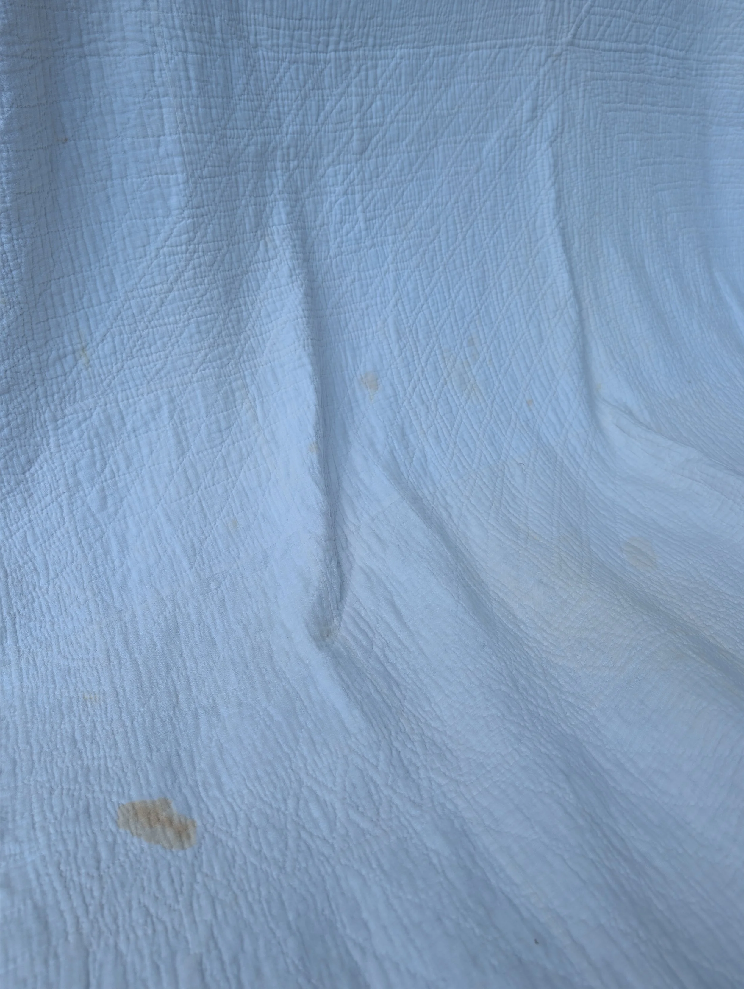 PXL_20260729_140613352.jpg
