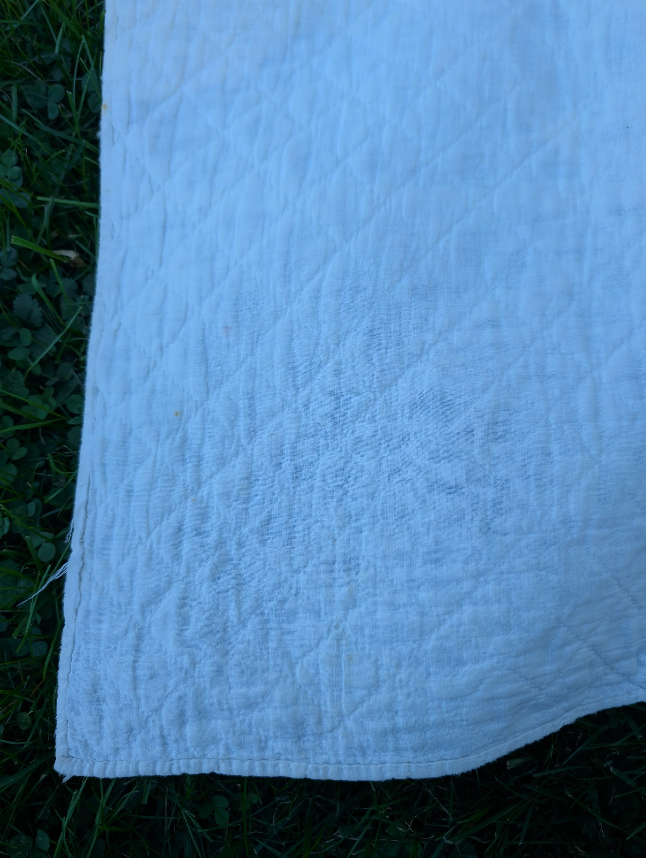 PXL_20261007_190411168.jpg