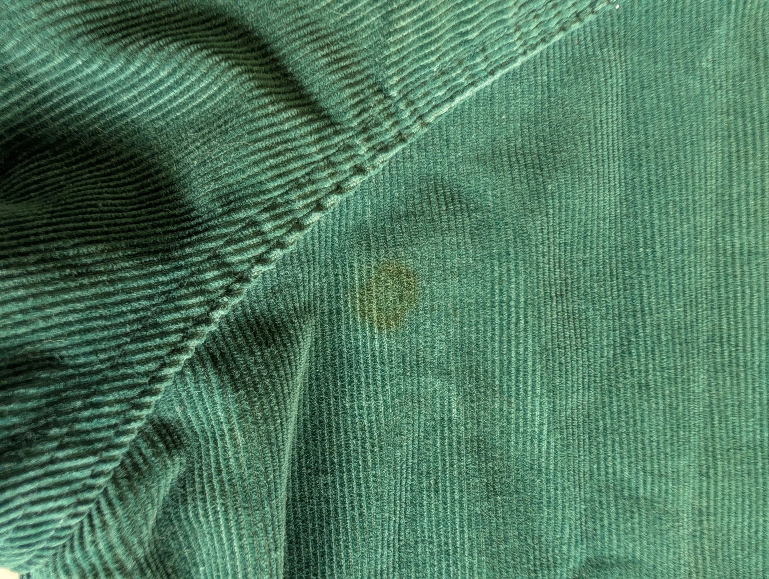 PXL_20260717_145419909.jpg