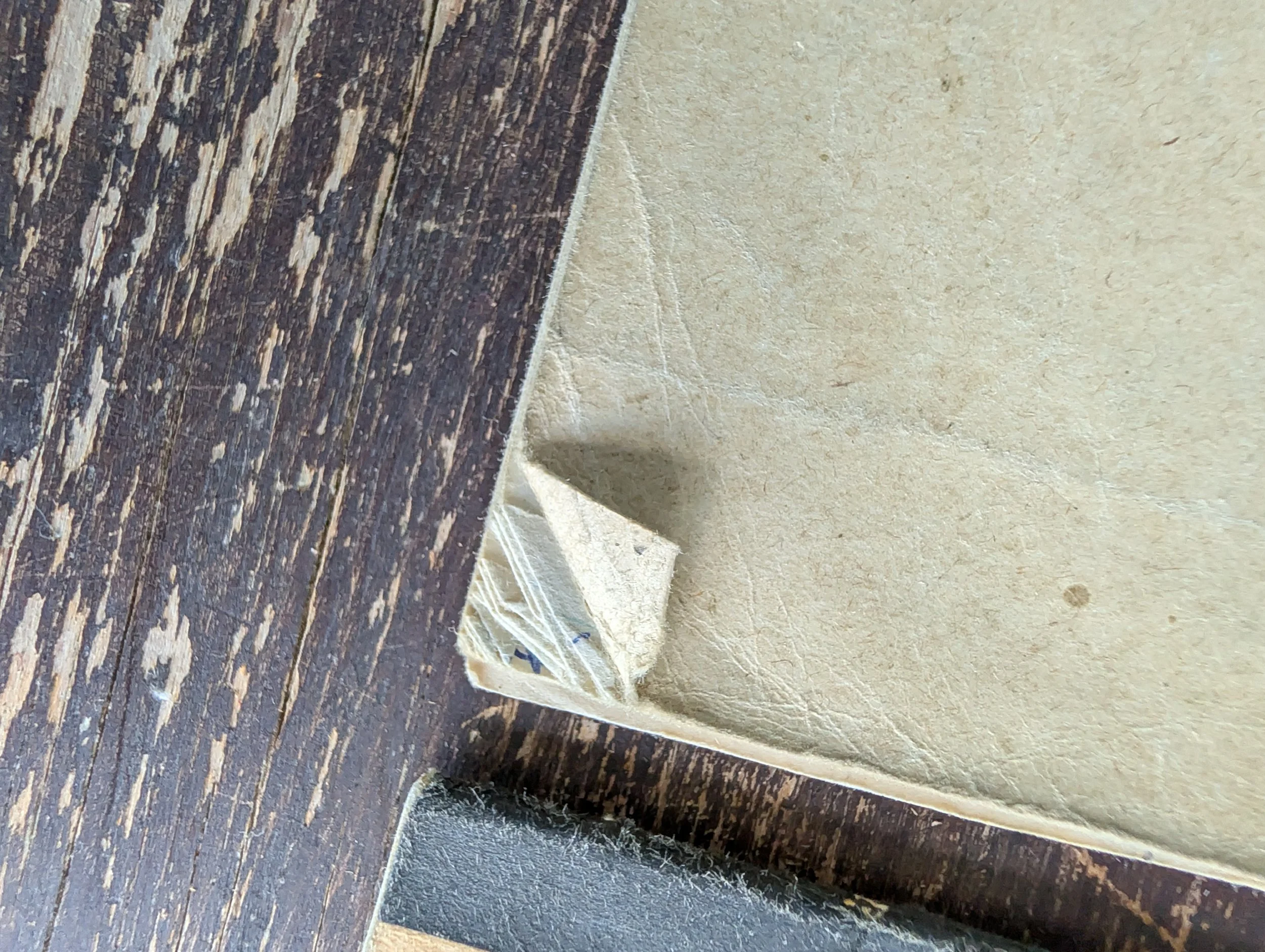 PXL_20260825_212649367.jpg