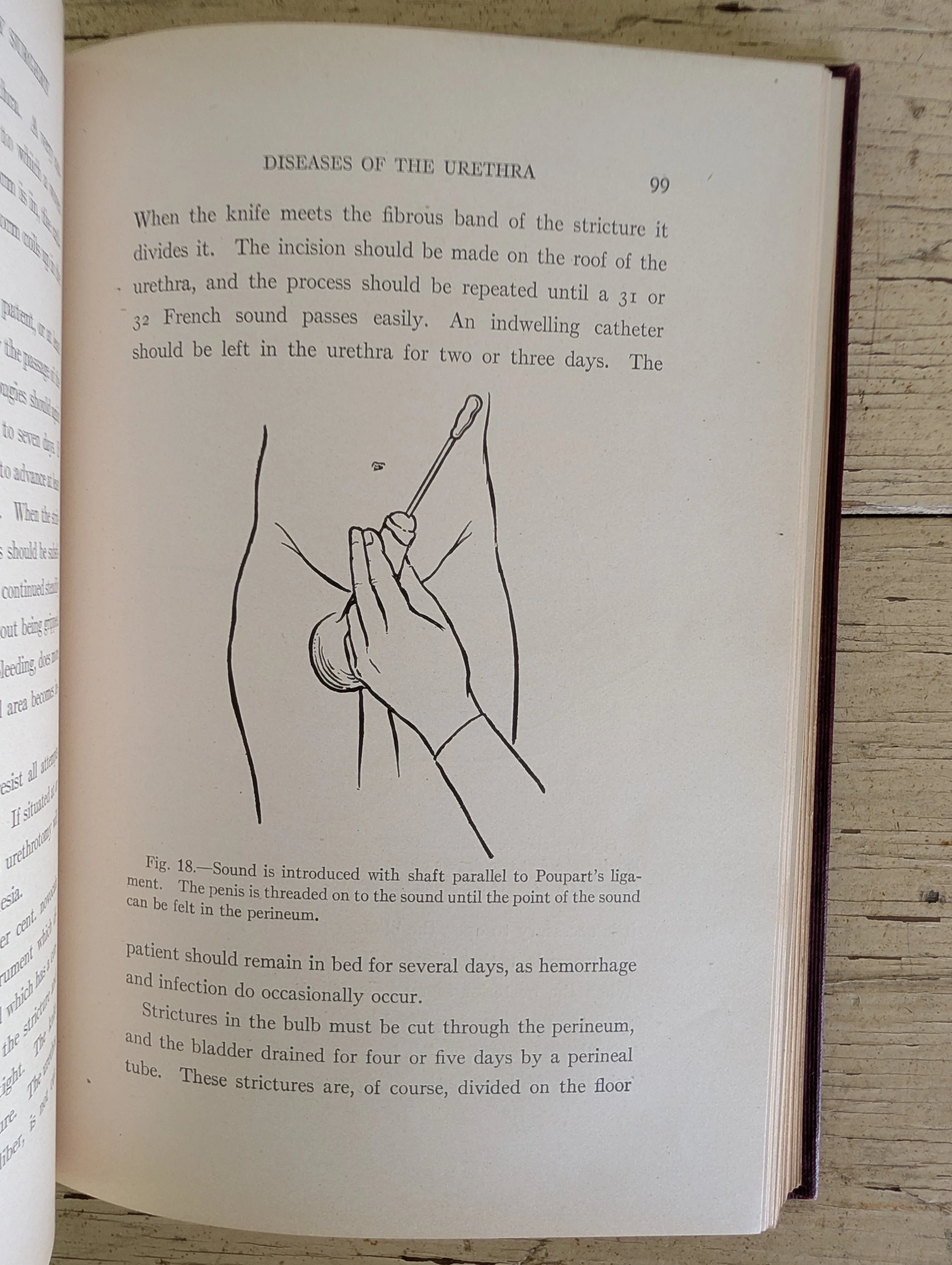 PXL_20260505_195931191.jpg
