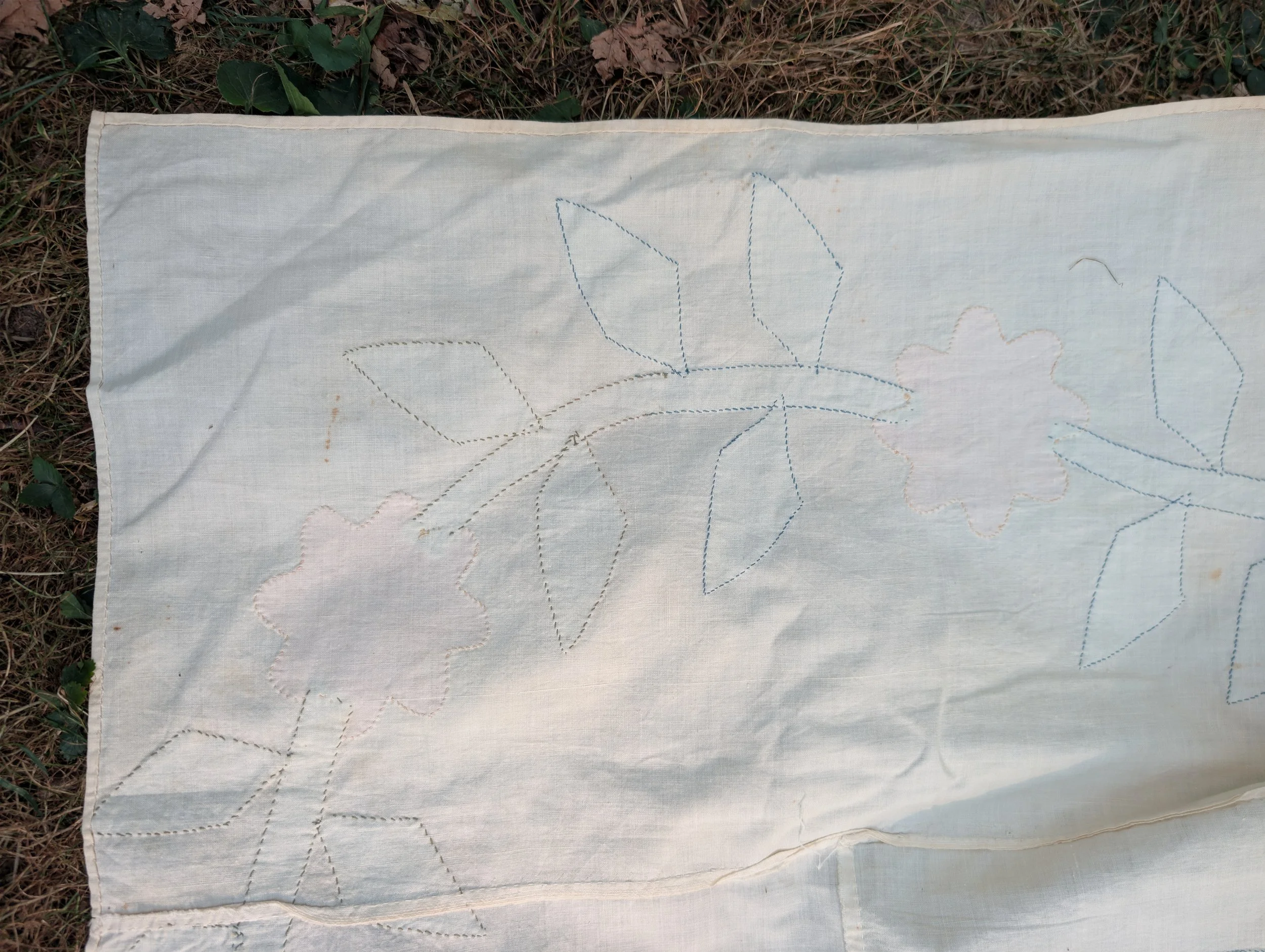 PXL_20260726_212531929.jpg