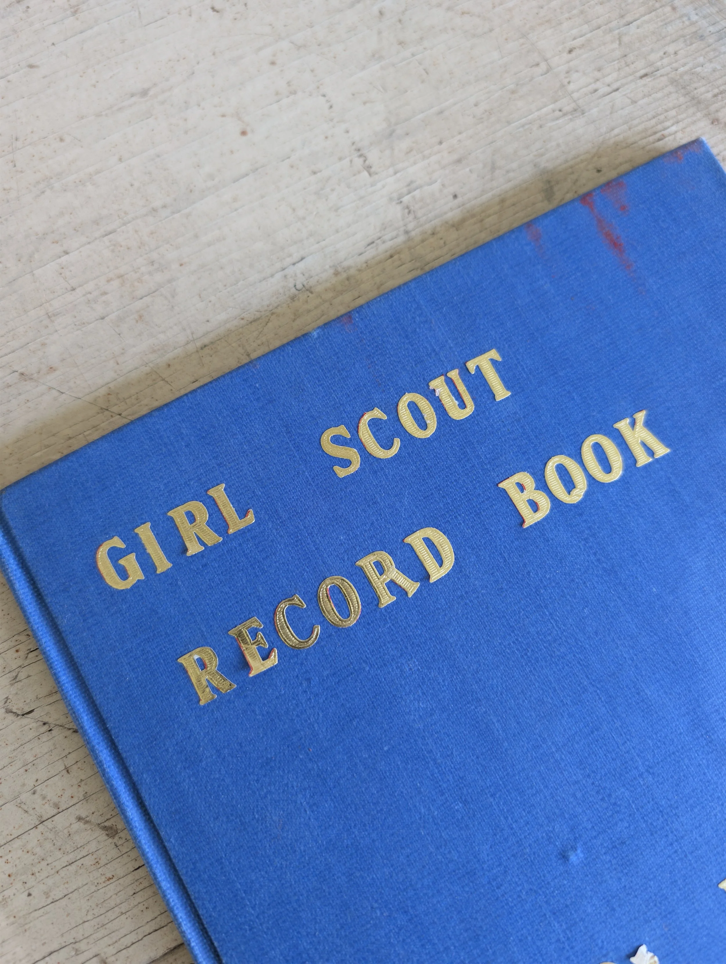 Vintage (1960s) Handwritten Girl Scout Record Book - Carol Painter.