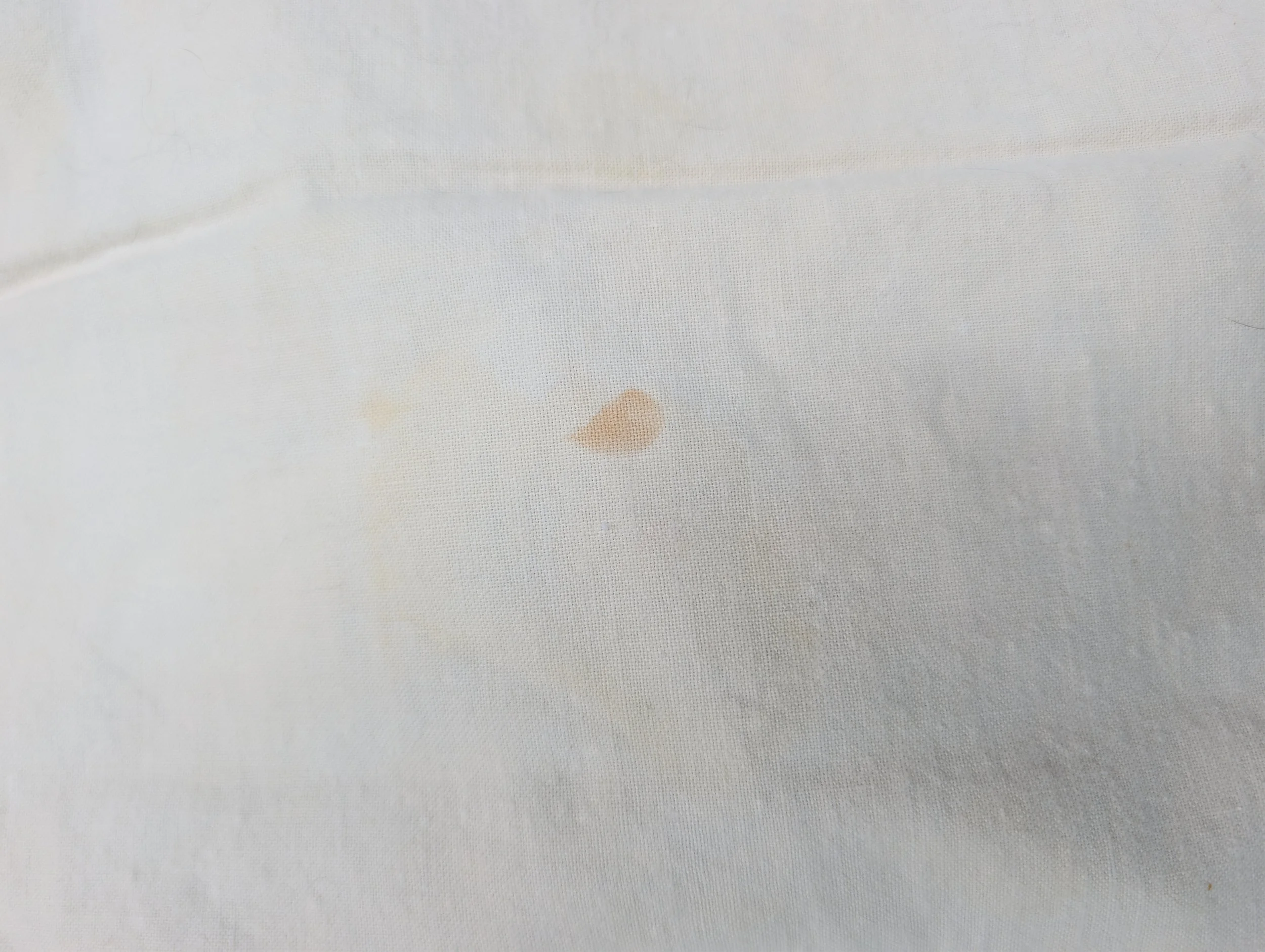 PXL_20260726_205136260.jpg