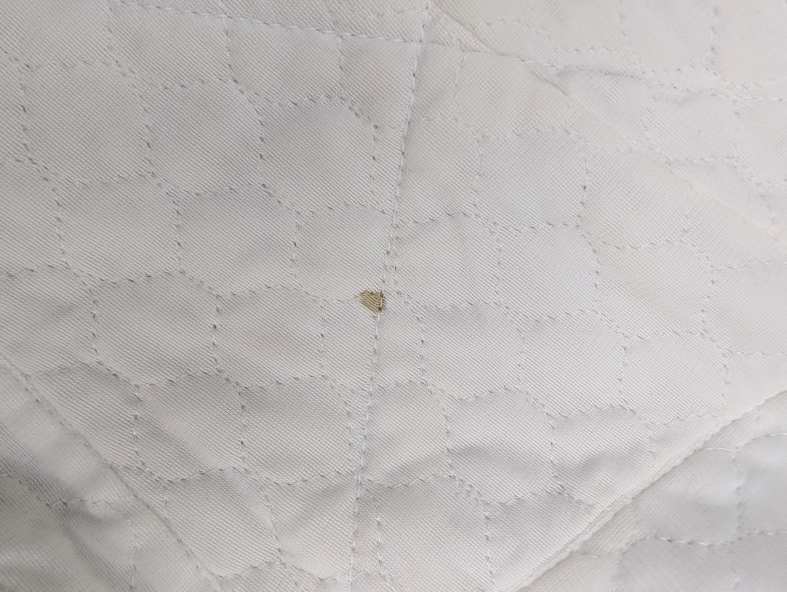 PXL_20260726_204634888.jpg