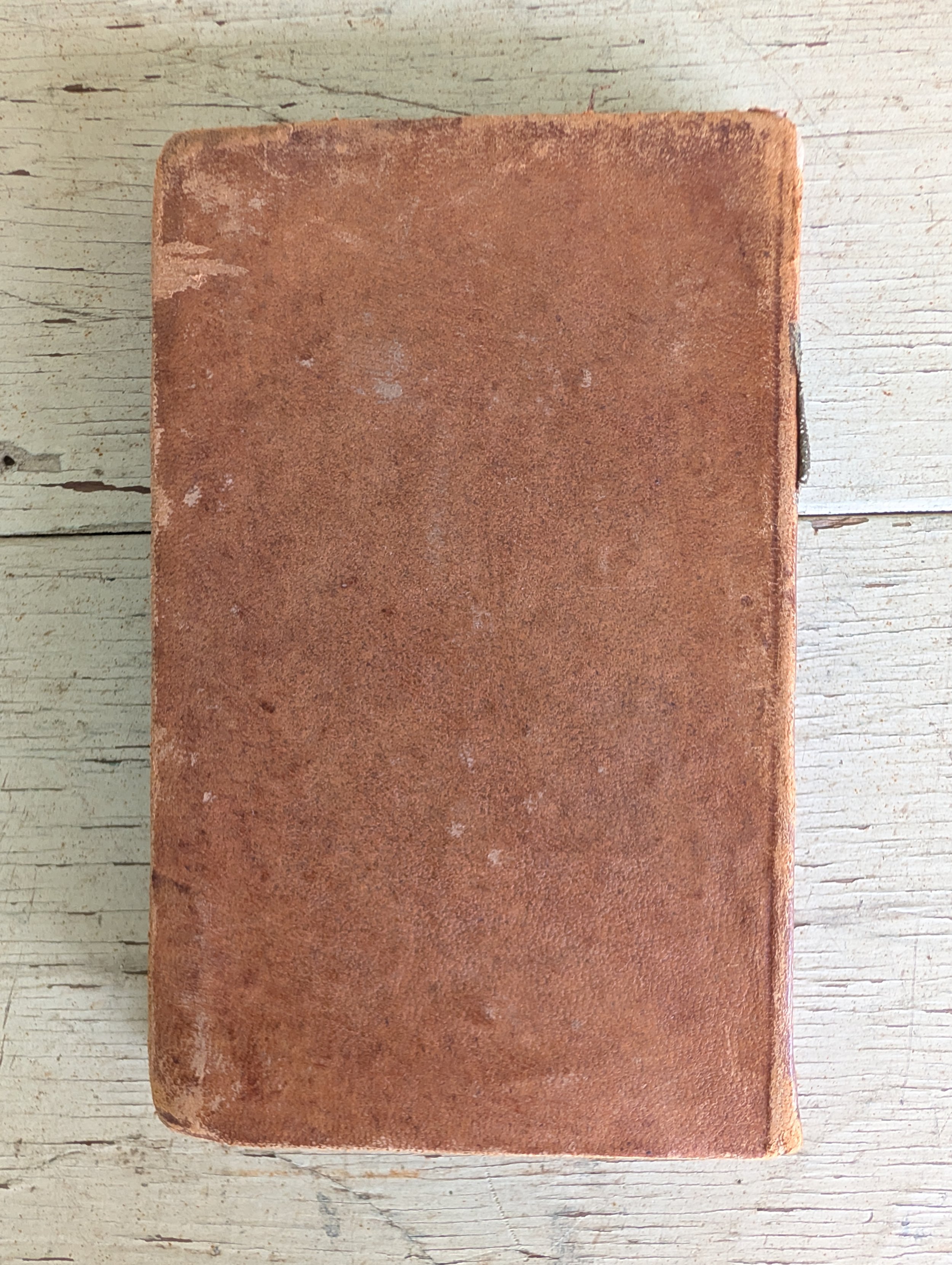 PXL_20260610_134458810.jpg
