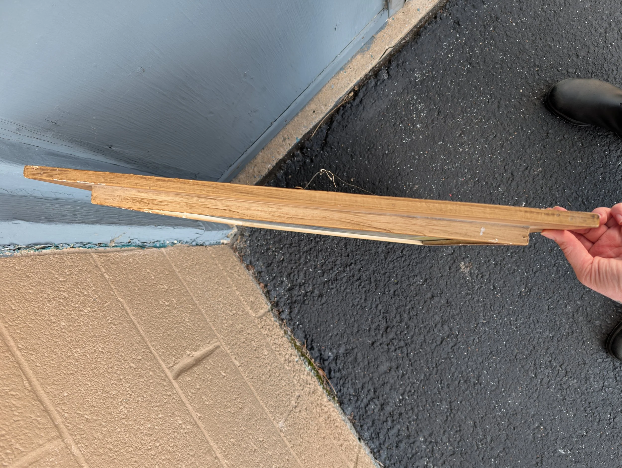 PXL_20260511_223112923.jpg