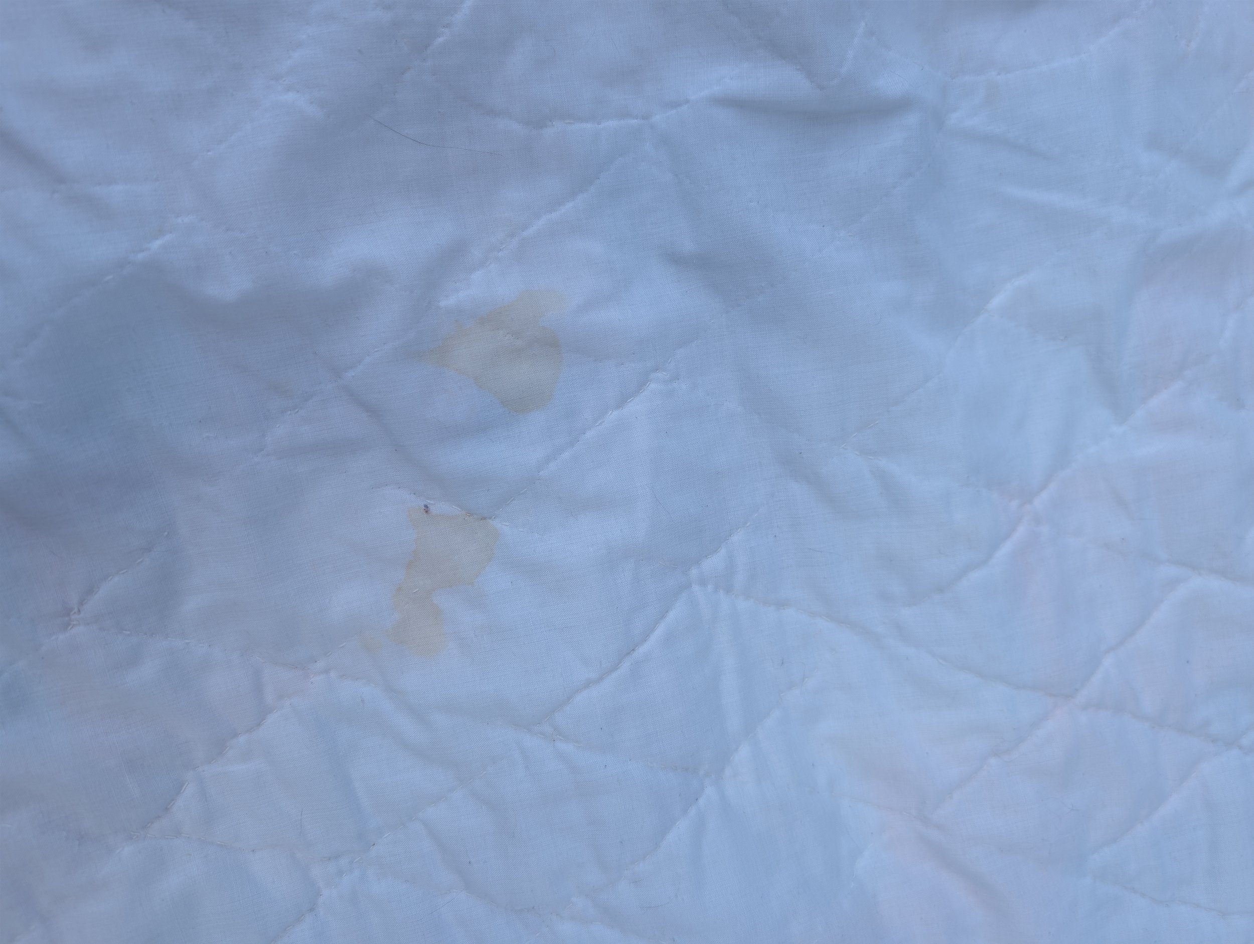 PXL_20260528_163521448.jpg