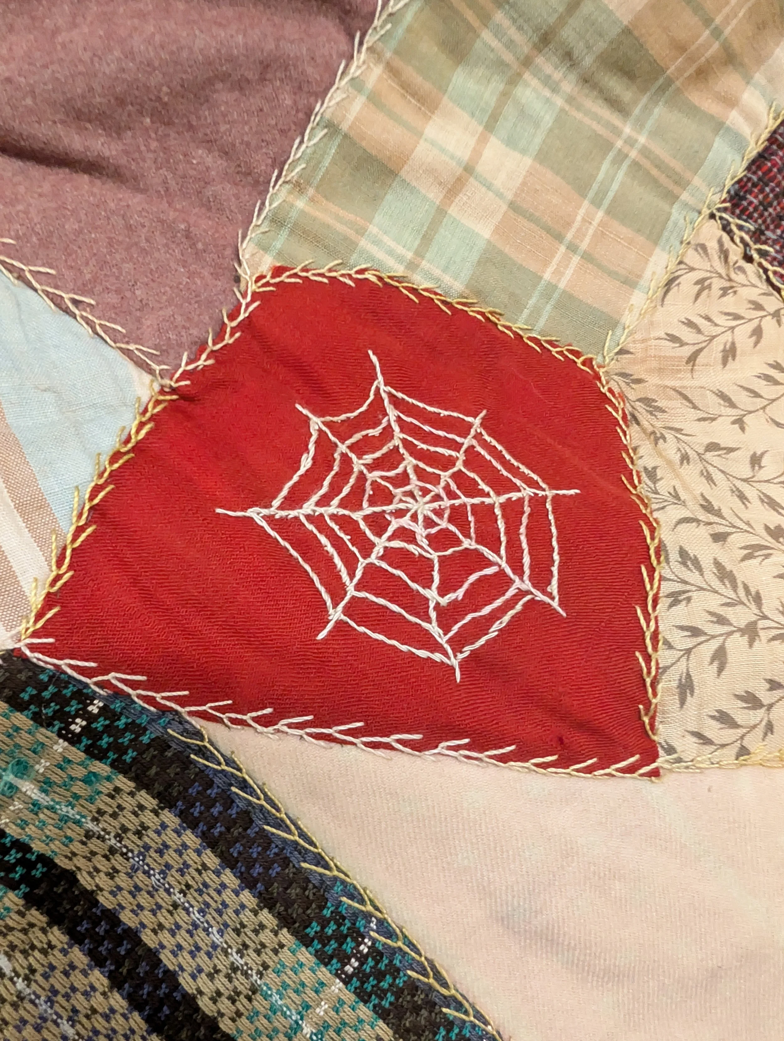 PXL_20260524_165001983.jpg