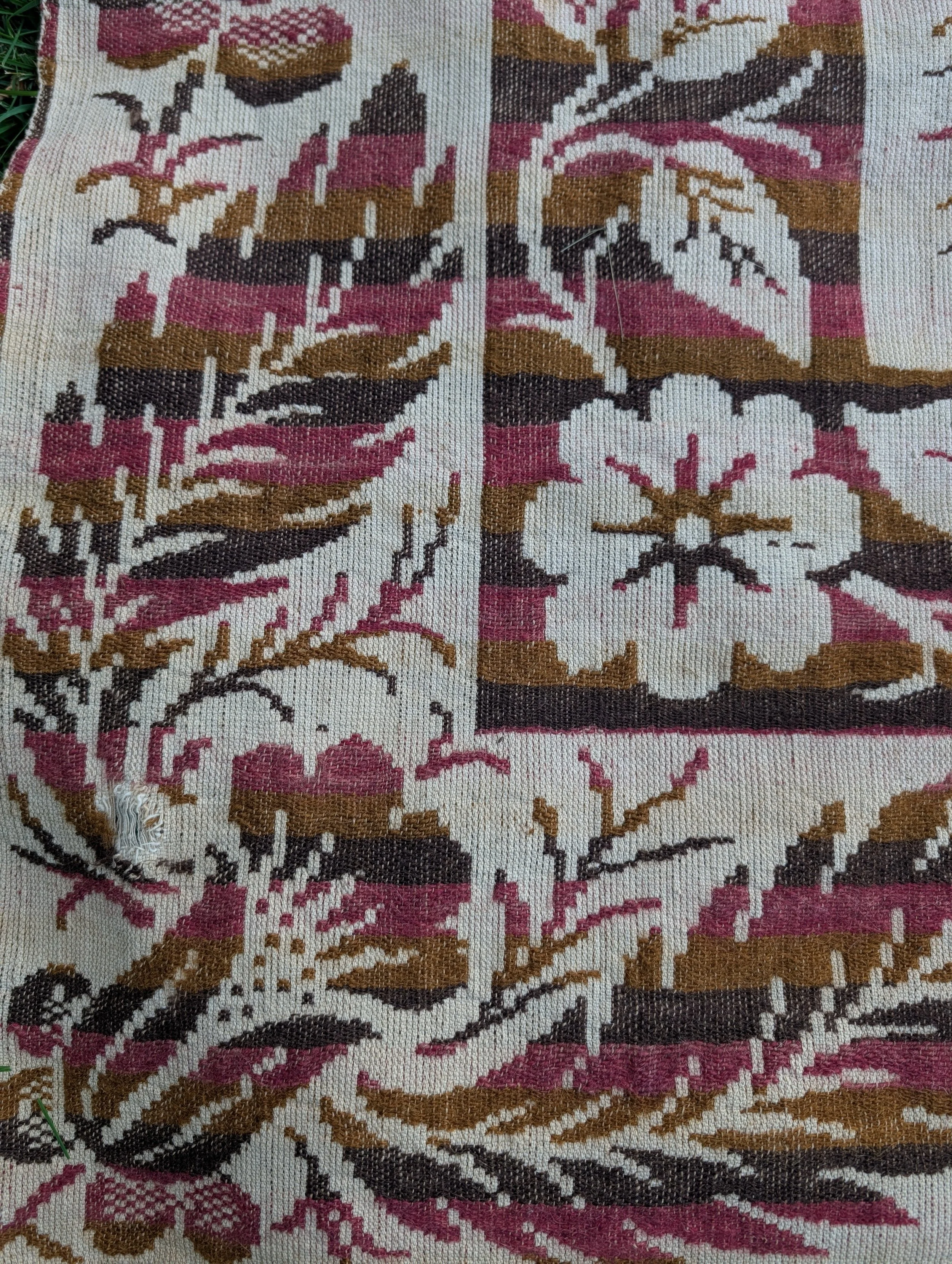 PXL_20250918_221704533.jpg