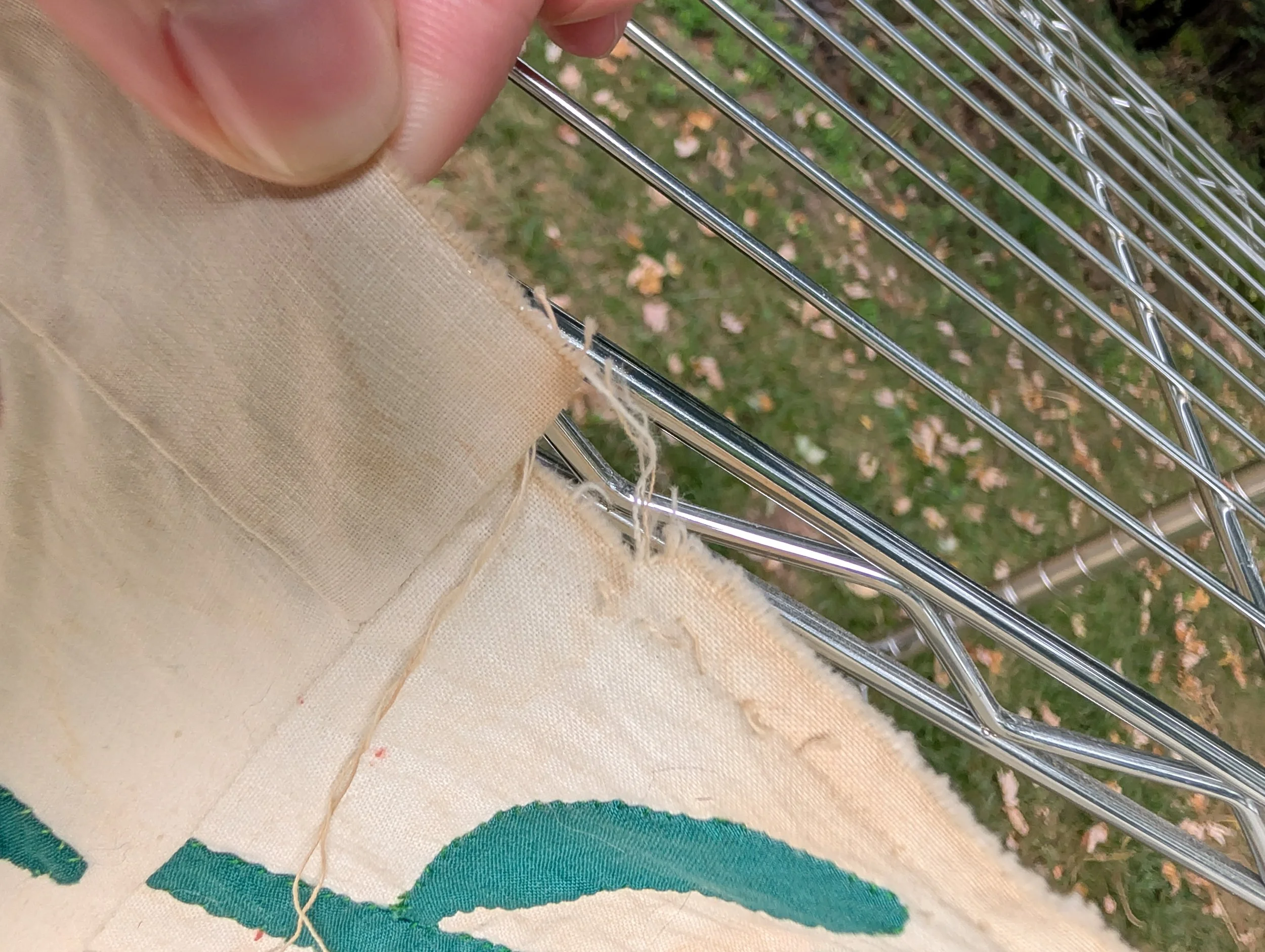 PXL_20260802_130558947.jpg