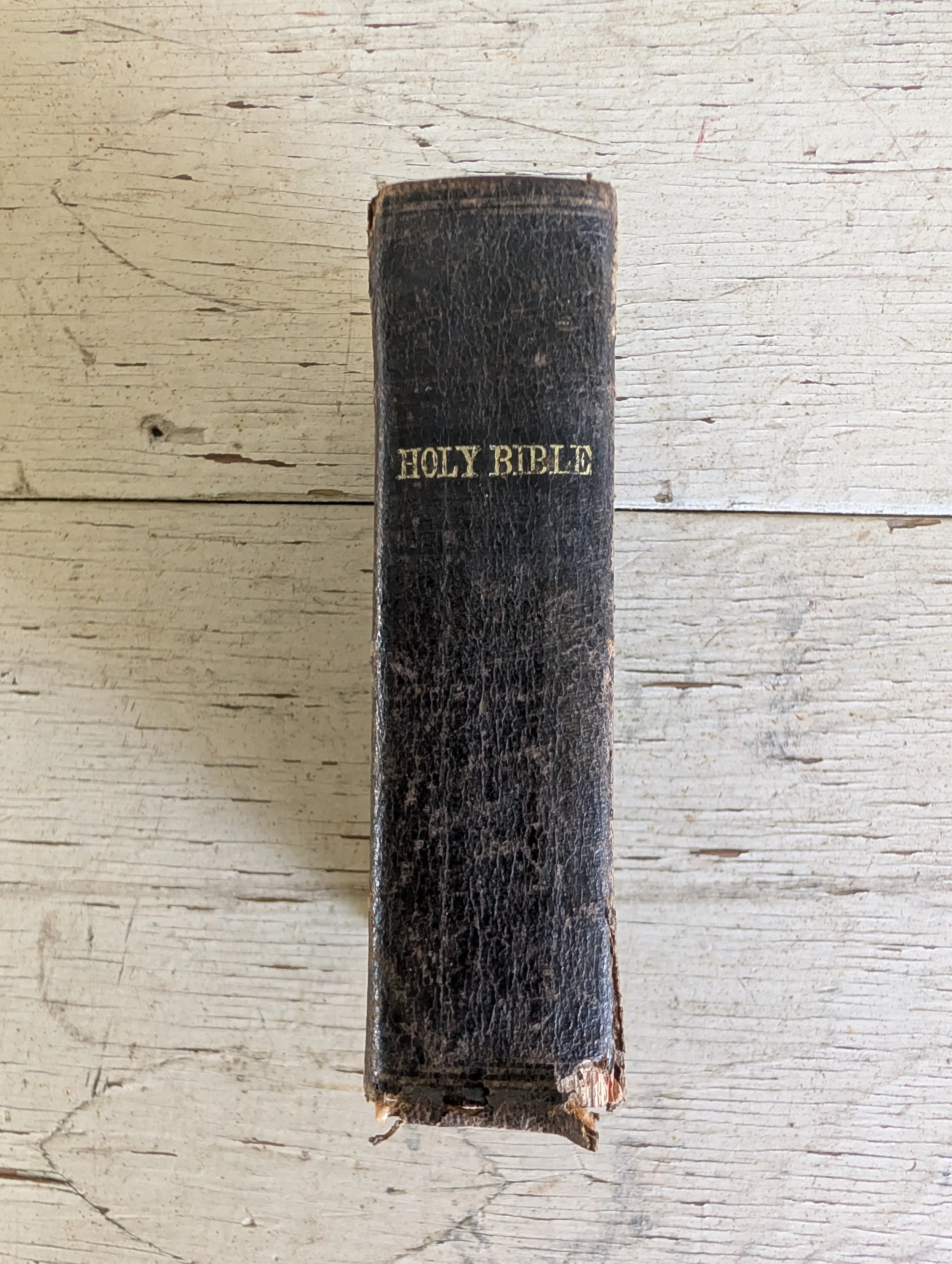 Antique (1868) King James Version (KJV) Holy Bible Published by American Bible Society.
