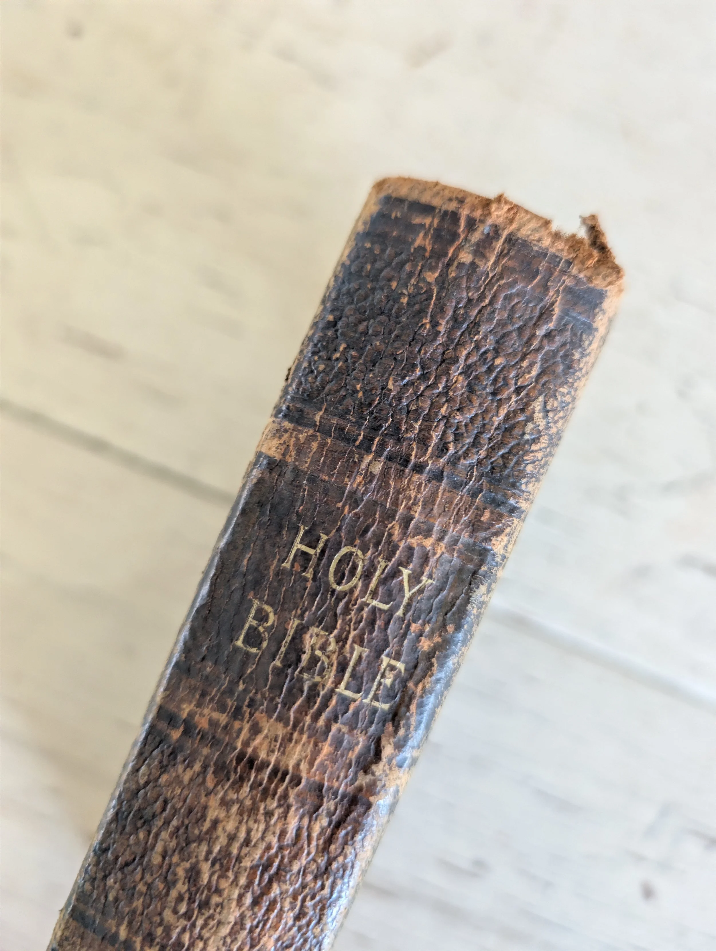 Antique (1900) Holy Bible.