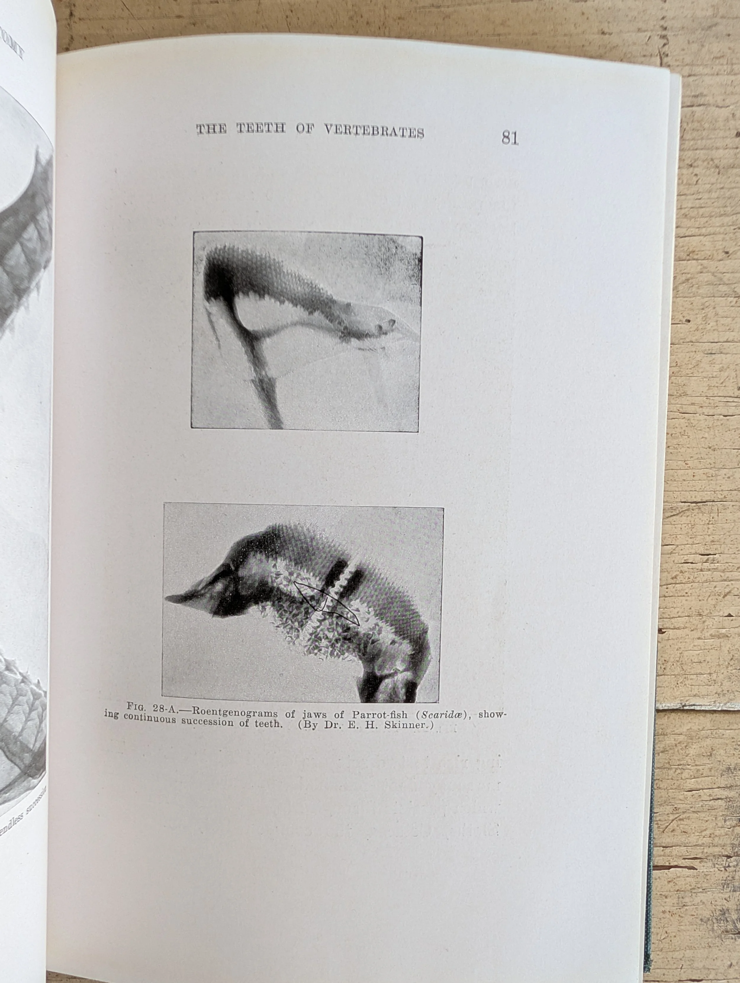 PXL_20260714_114332630.jpg