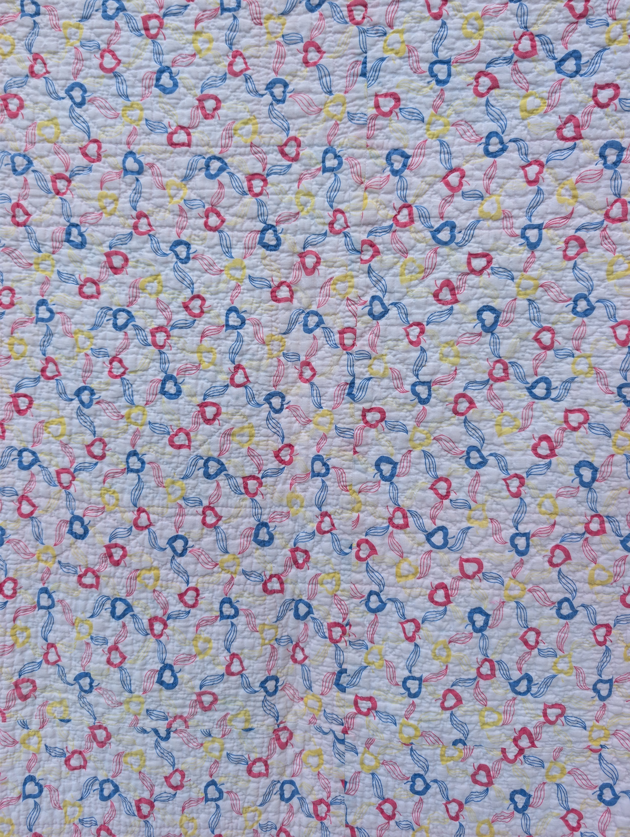 PXL_20260828_220018669.jpg