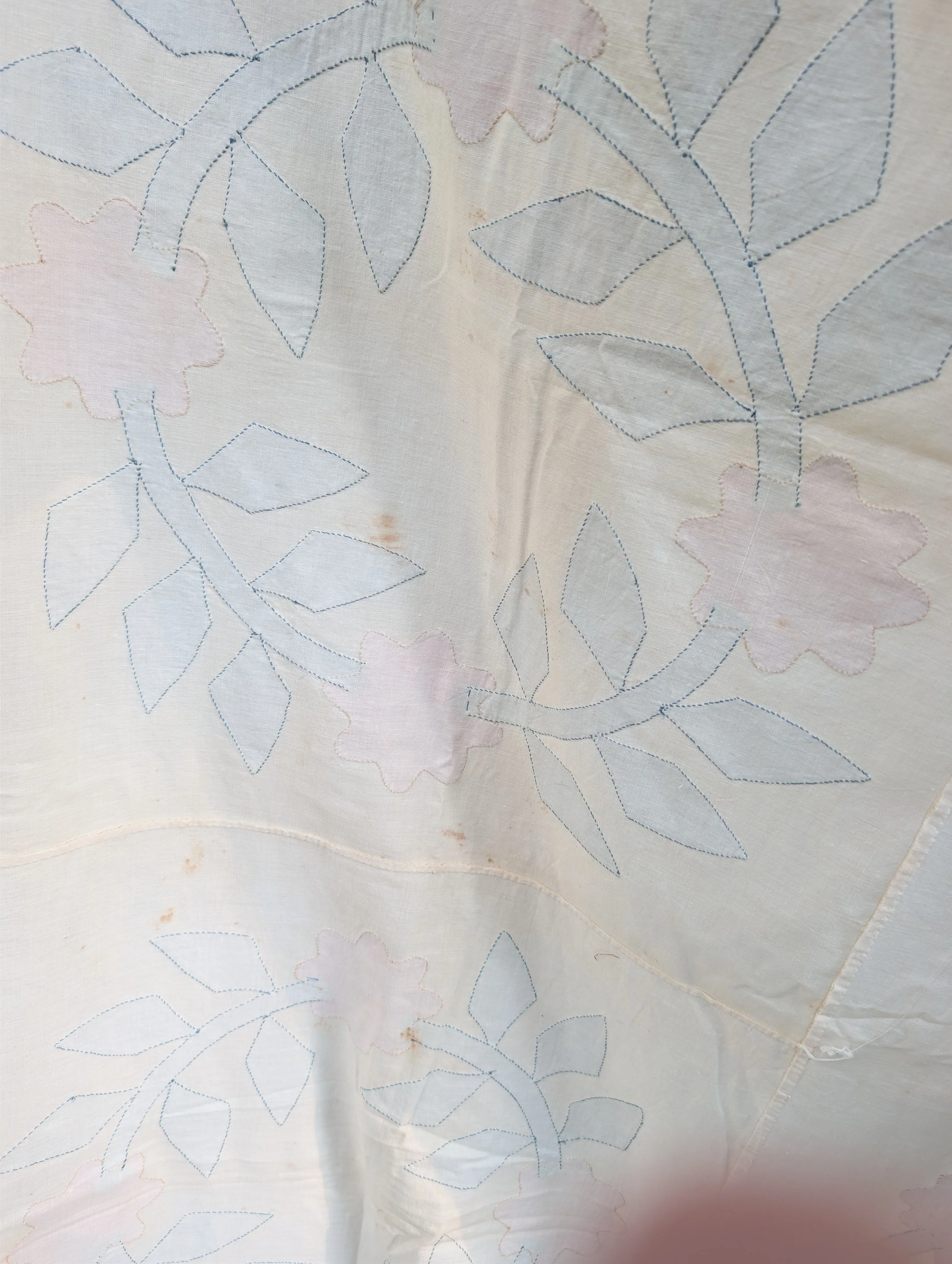 PXL_20260726_212504236.jpg
