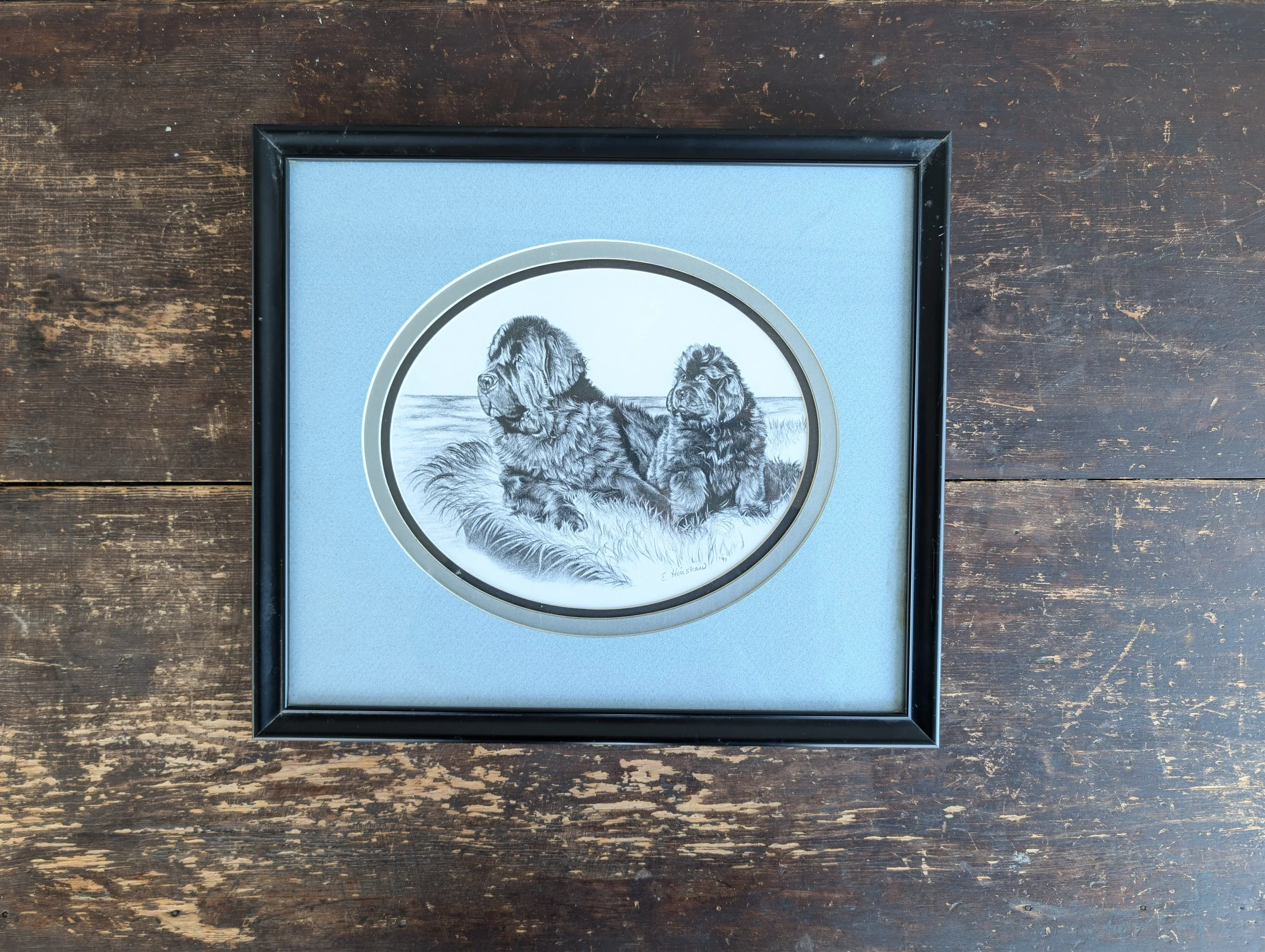 Vintage (1991) Signed Original Graphite Newfoundland Portrait Drawing, Framed - E. Hinshaw.