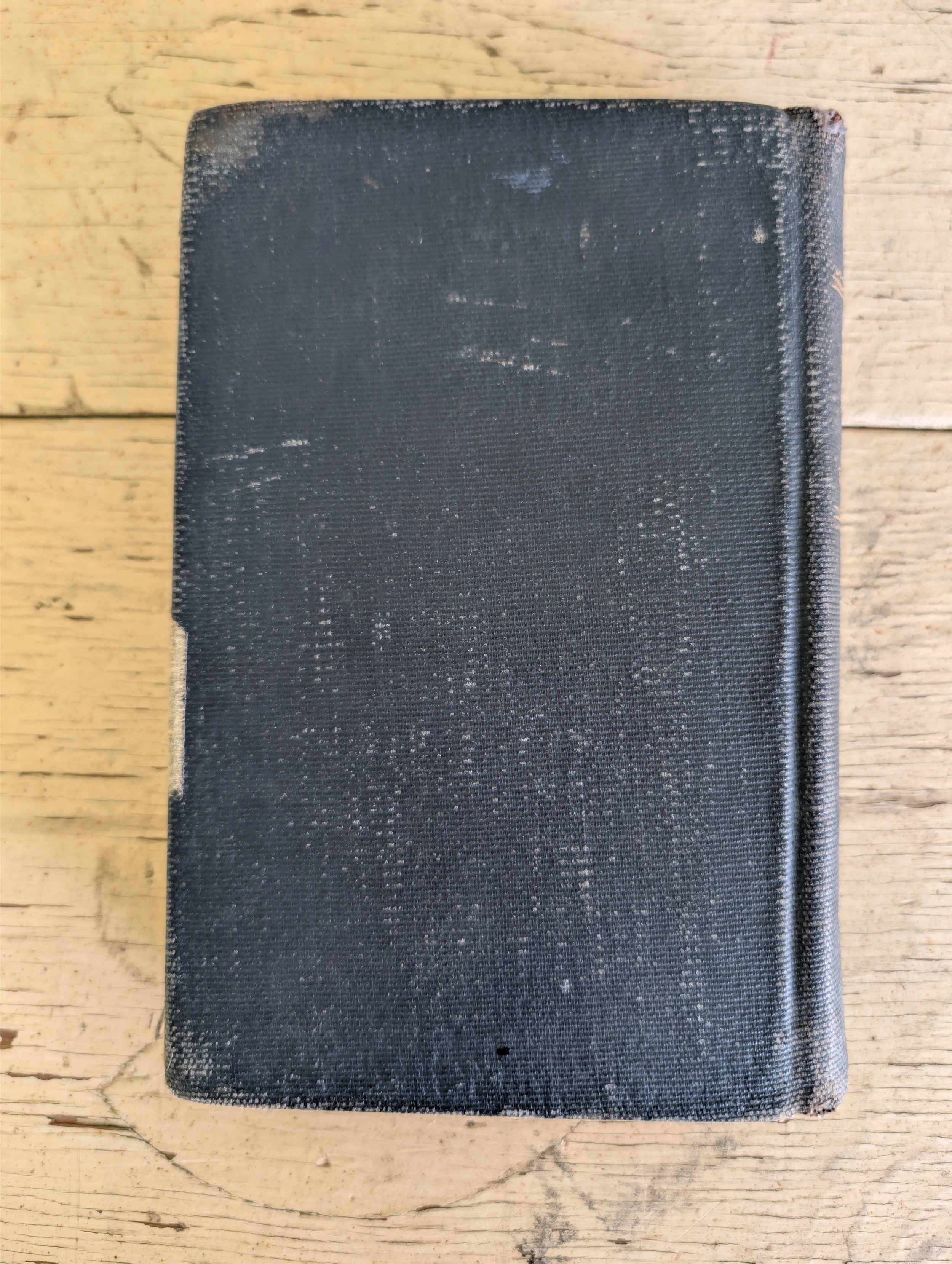 PXL_20260630_205213307.jpg
