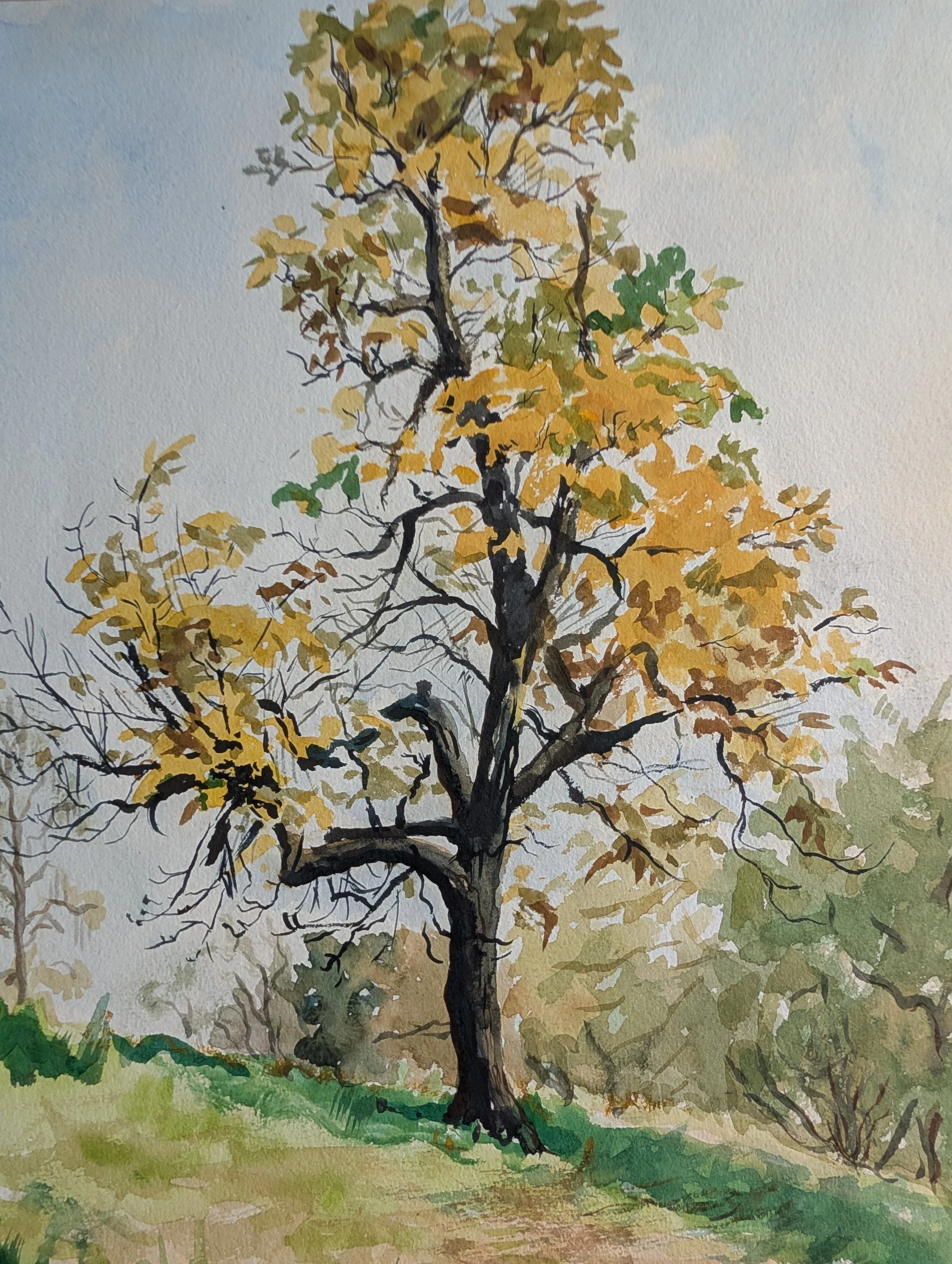 Vintage (1970s) Original Art : Landscape Painting - Watercolor On Paper.