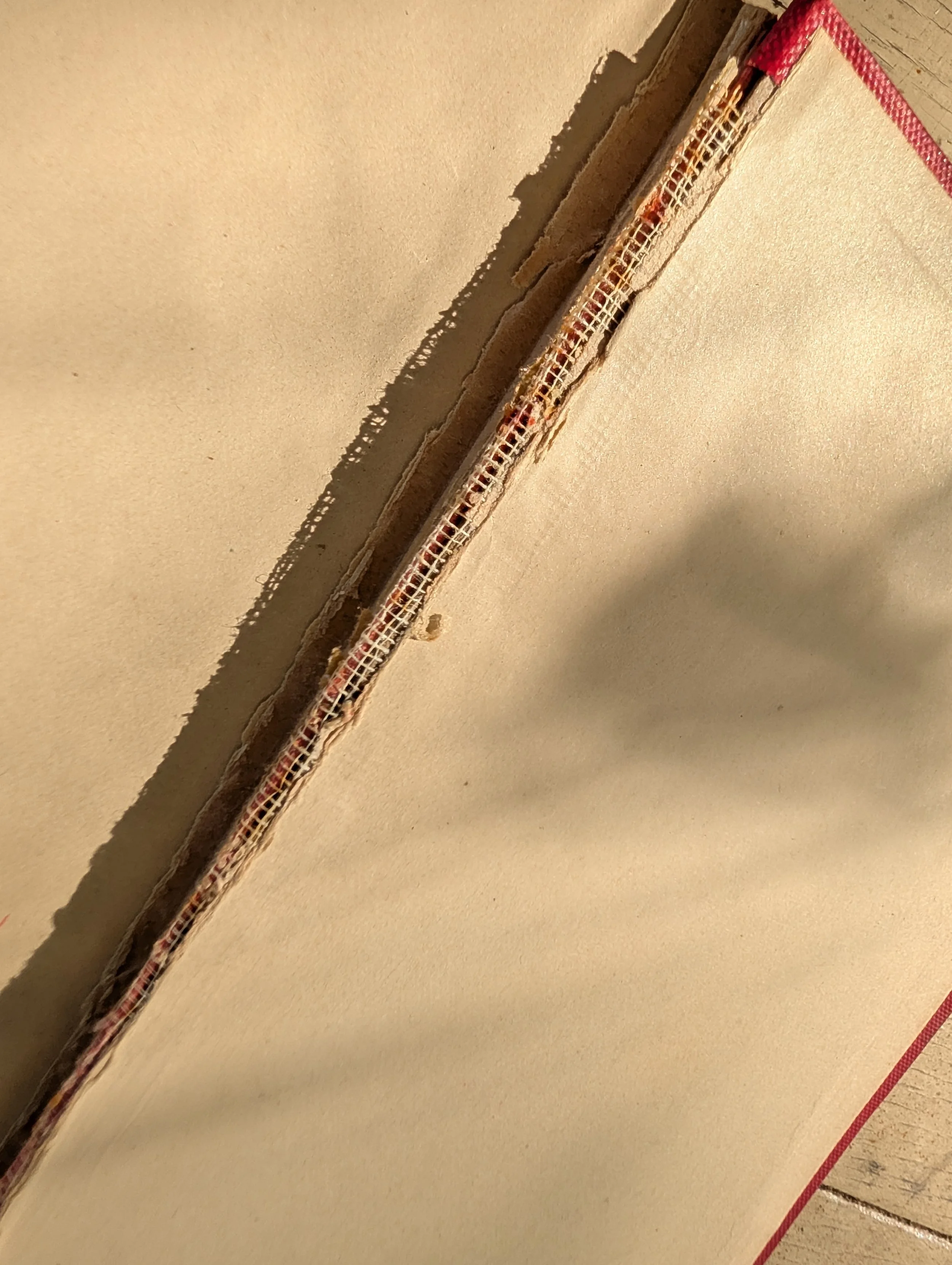 PXL_20261026_144713930.jpg