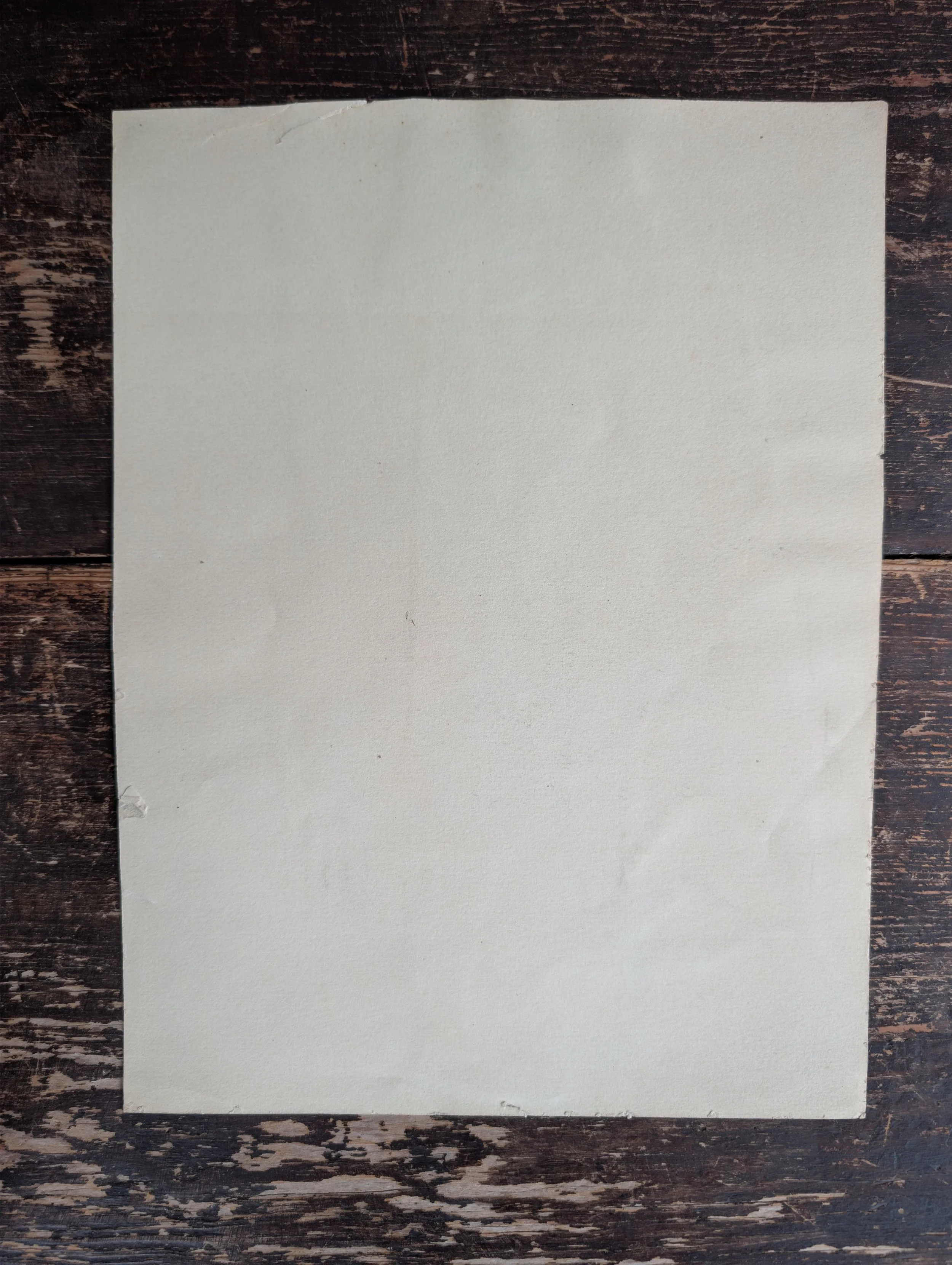 PXL_20260816_193716627.jpg