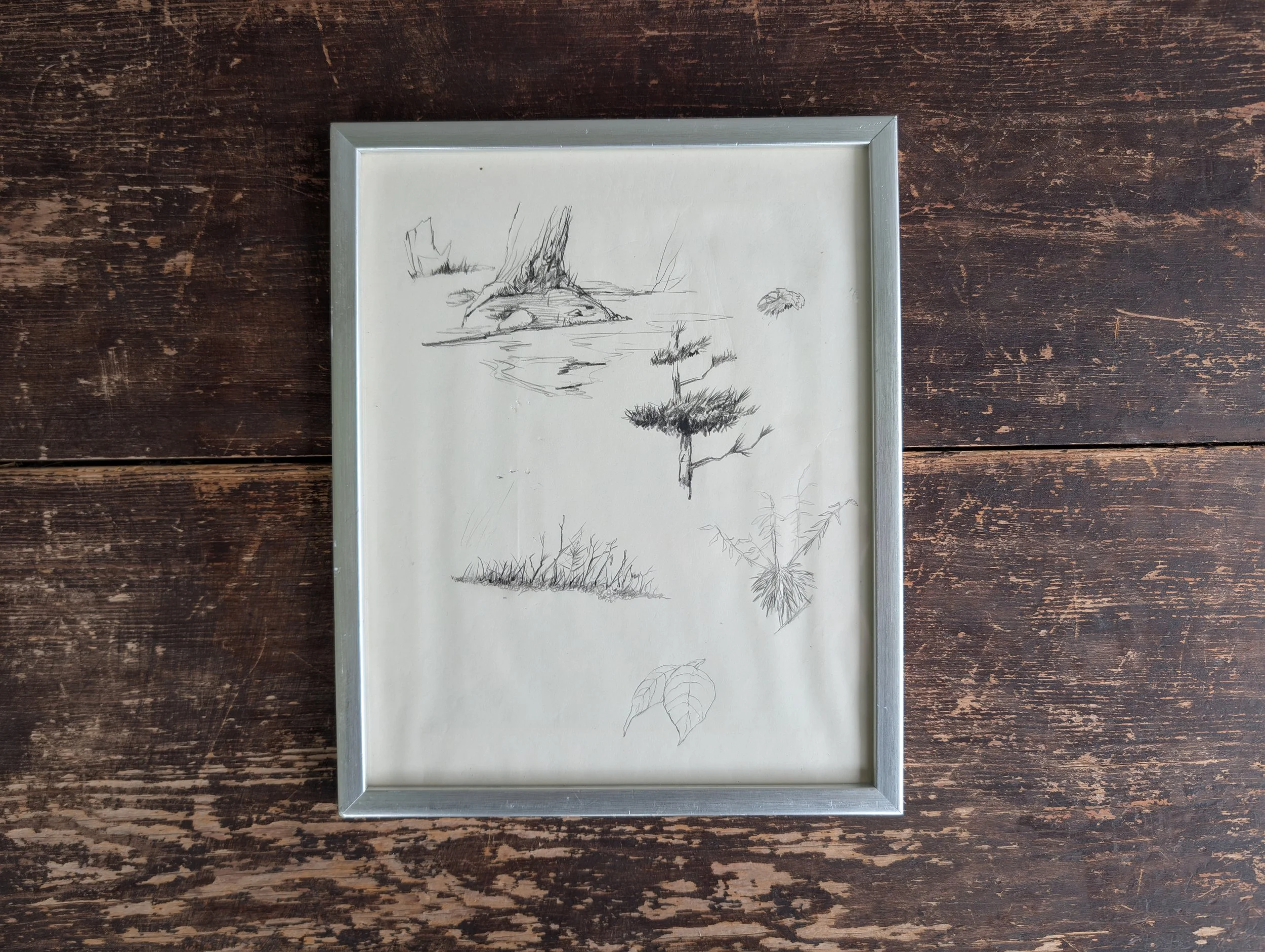 Vintage (1970s) Original Art : Nature Walk - Pencil Sketches On Paper by Anonymous Artist.