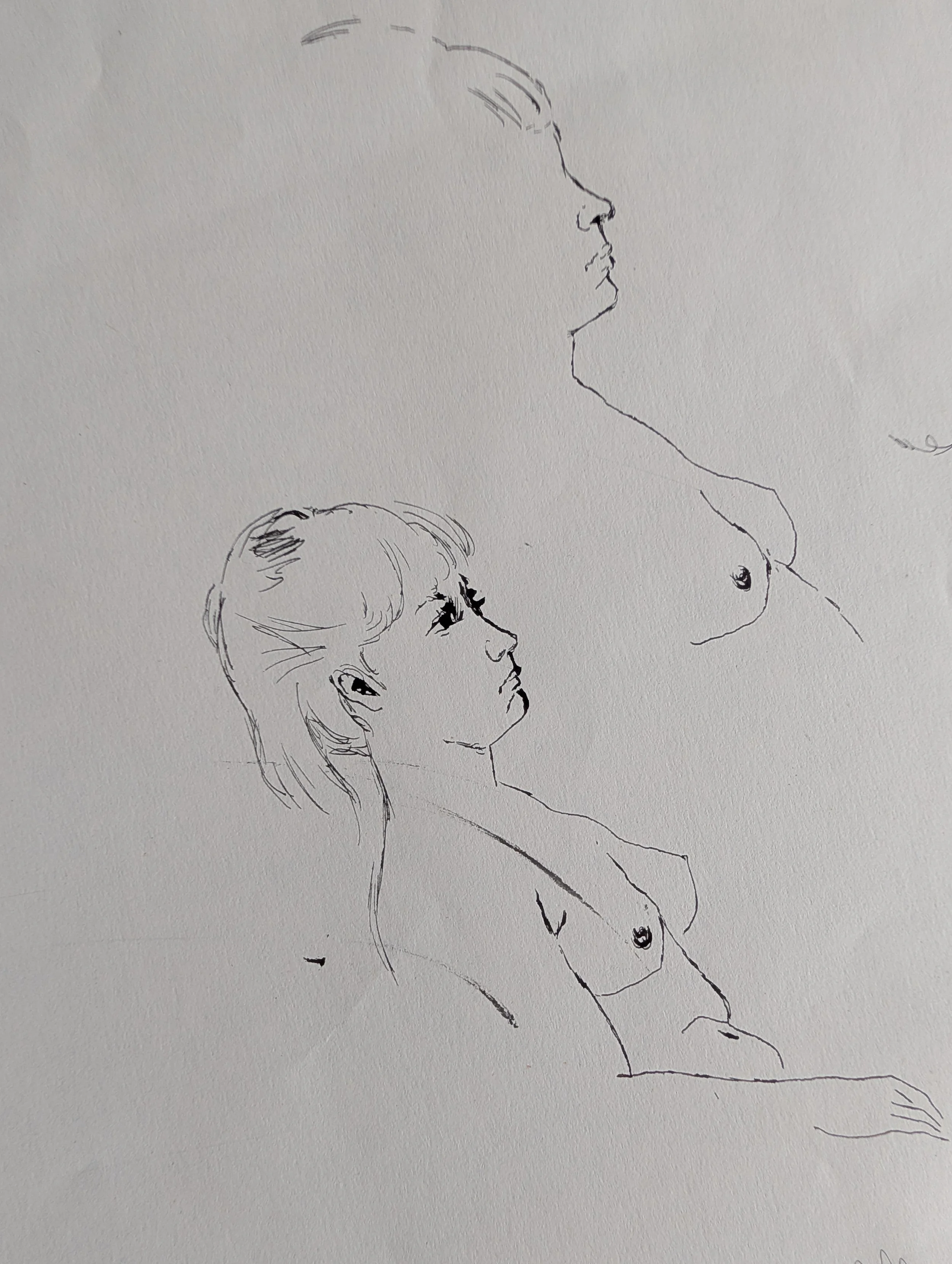 PXL_20260816_193206823.jpg